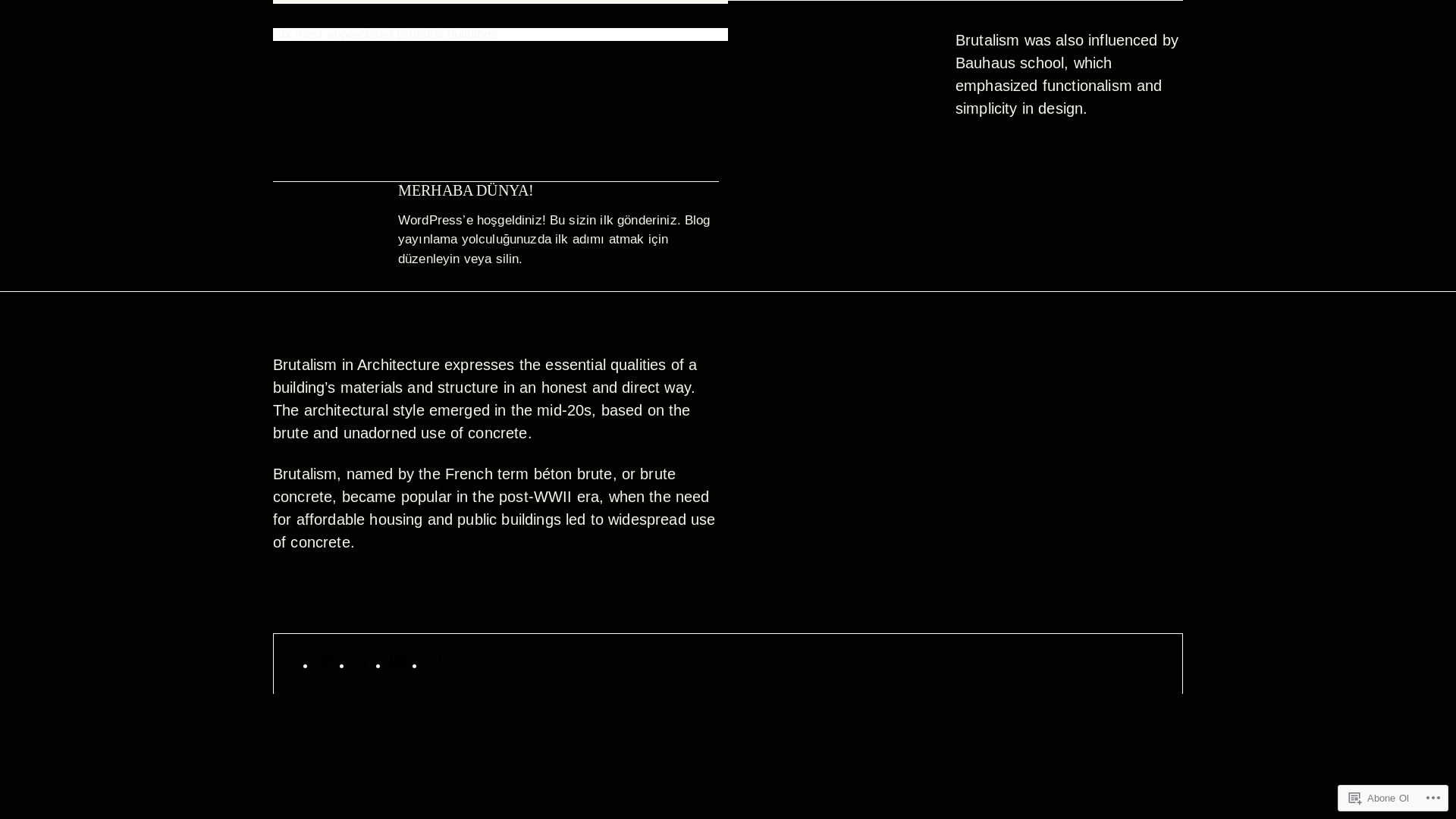 website screenshot of https://akademakademi.blog/