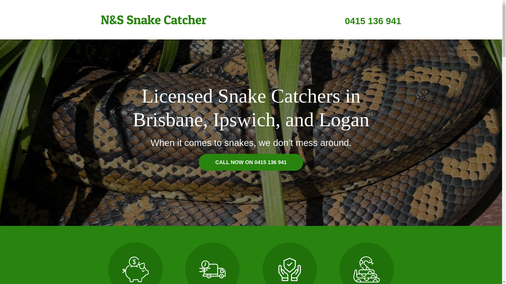 website screenshot of https://n-and-s-snakecatcher.com.au/