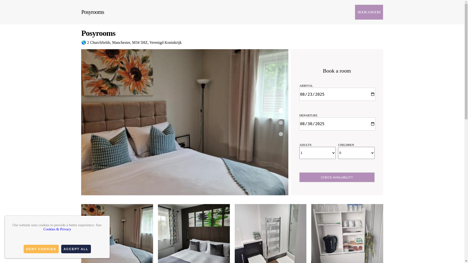 website screenshot of https://posyrooms.org.es/