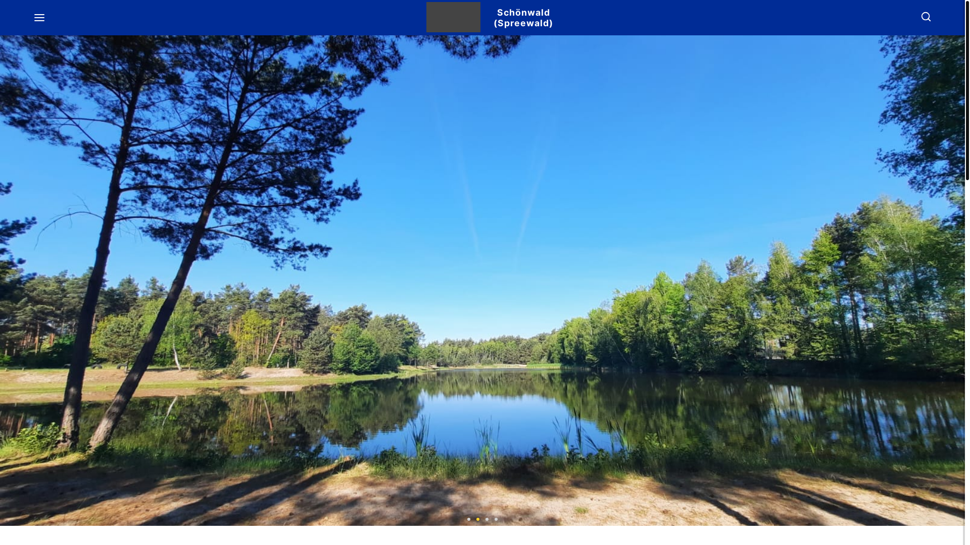 website screenshot of https://xn--schnwald-spreewald-f3b.de/