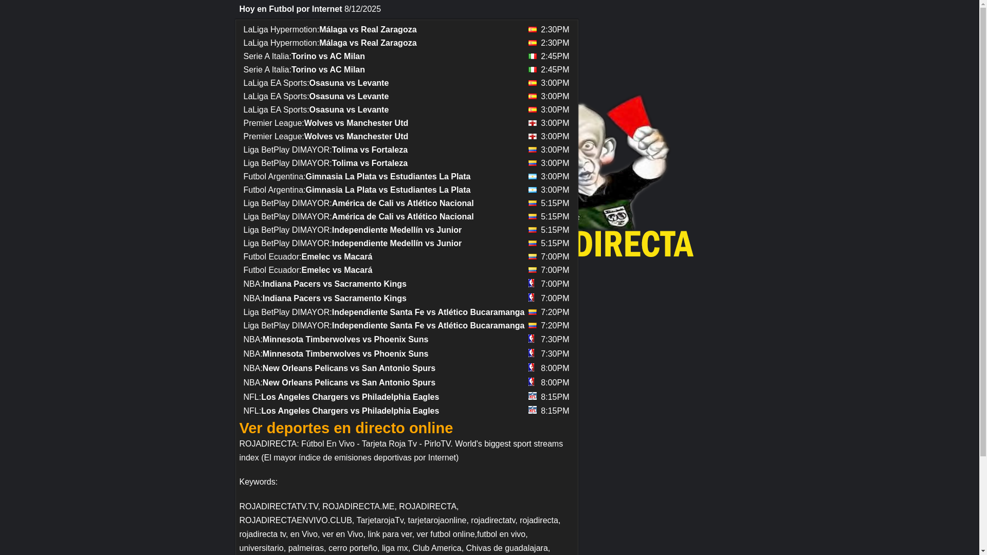 website screenshot of https://rojadirect.re/