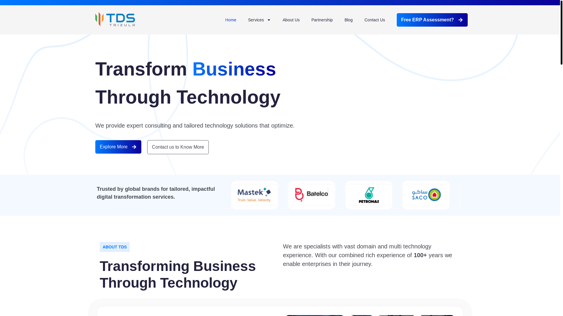 website screenshot of https://tedstdsstaging.com/