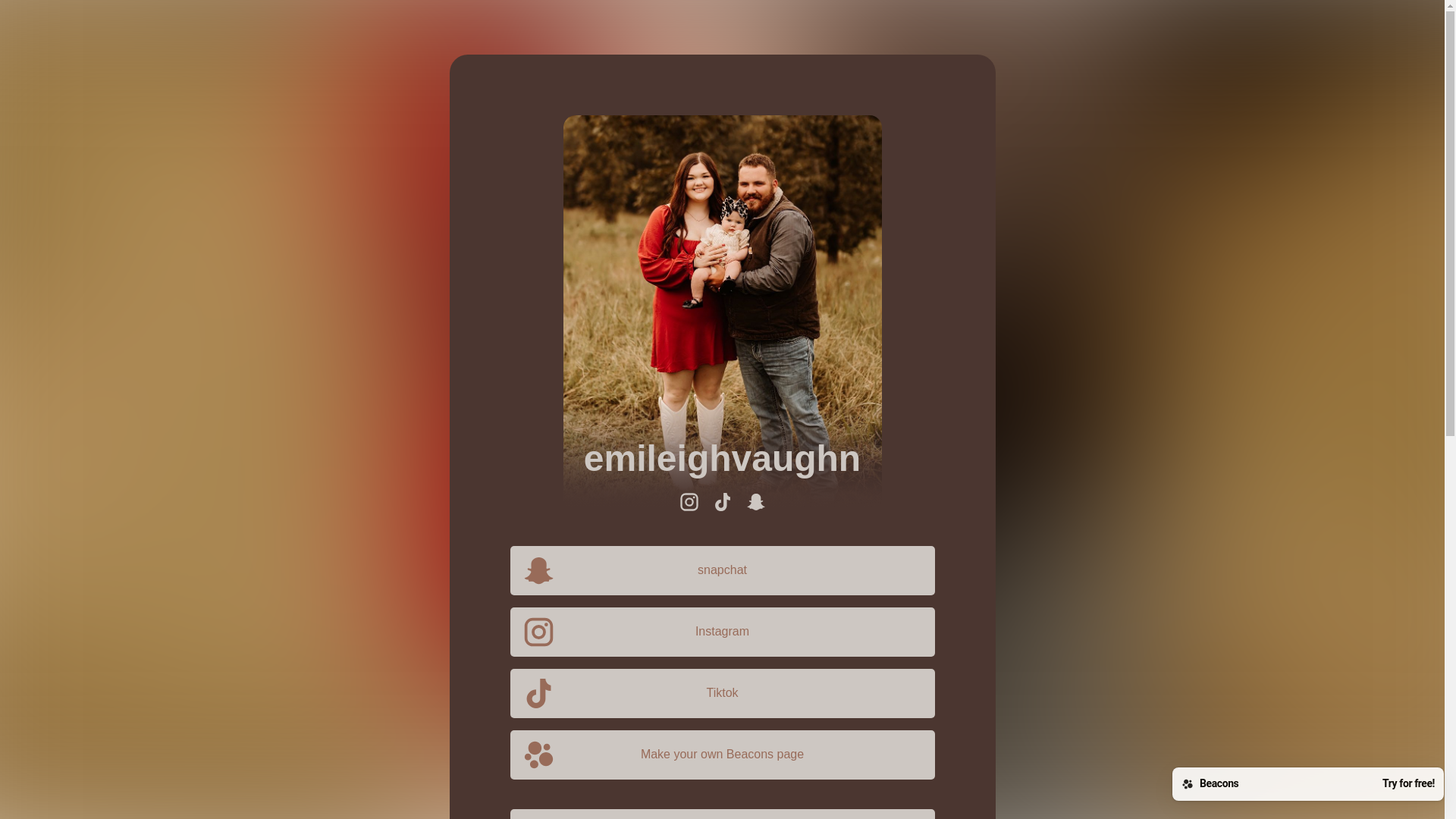 website screenshot of https://emileighvaughn.com/