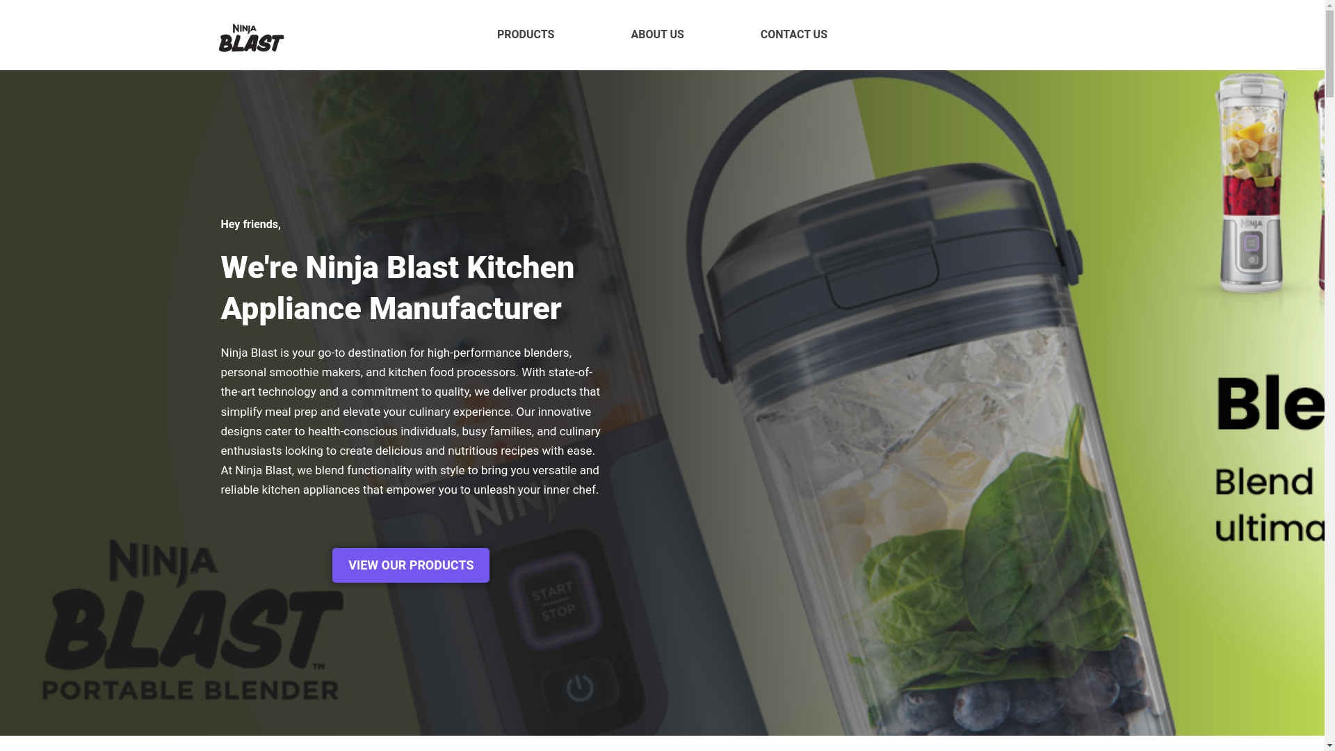 website screenshot of https://theninjablast.pages.dev/