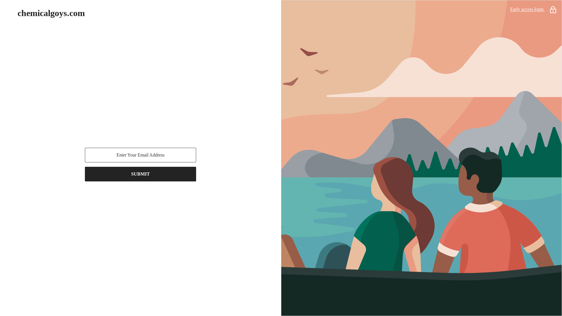 website screenshot of https://chemicalgoys.com/