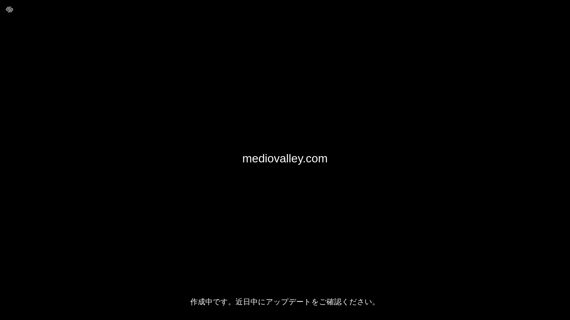 website screenshot of https://mediovalley.com/