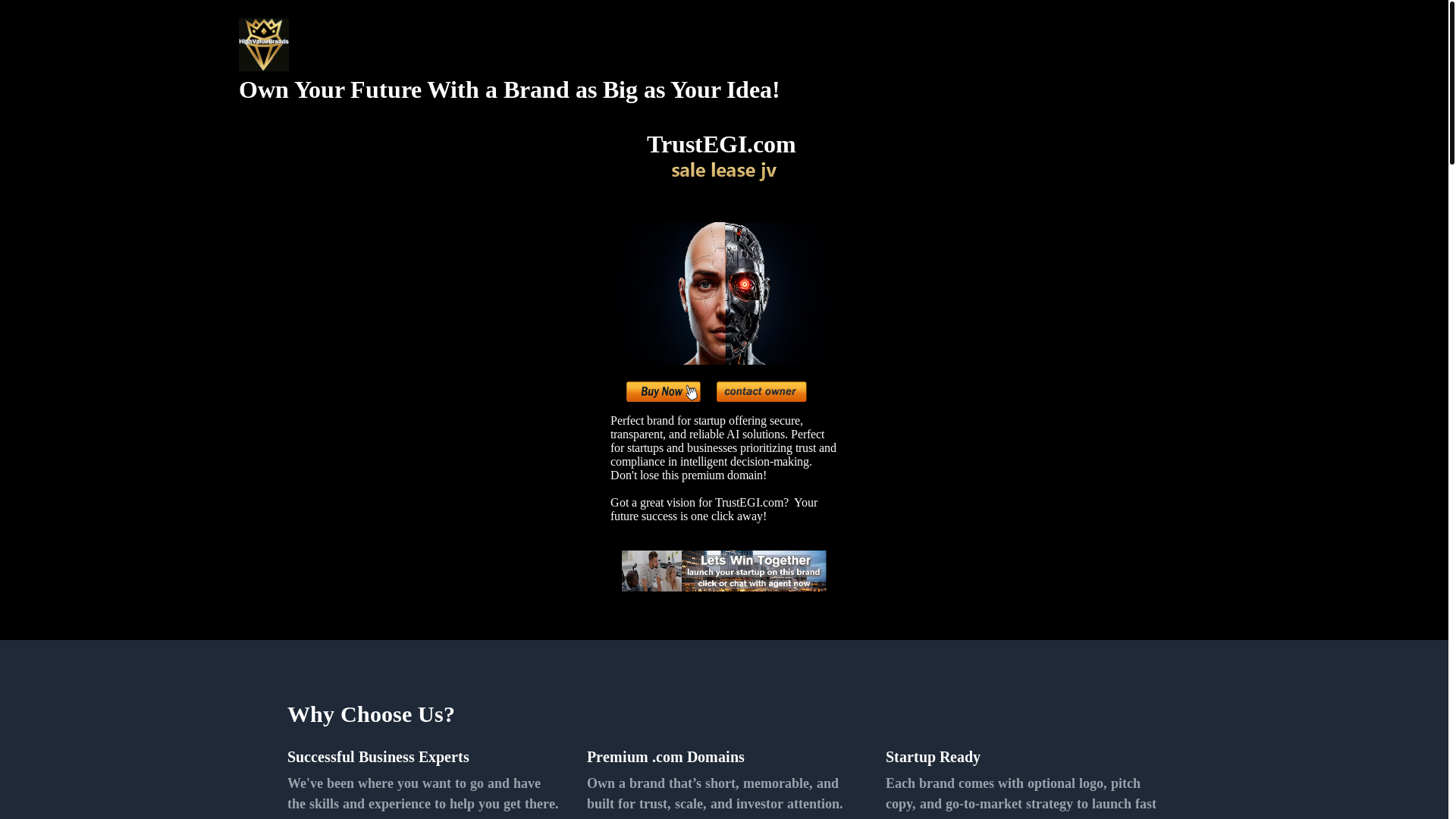 website screenshot of https://trustegi.com/