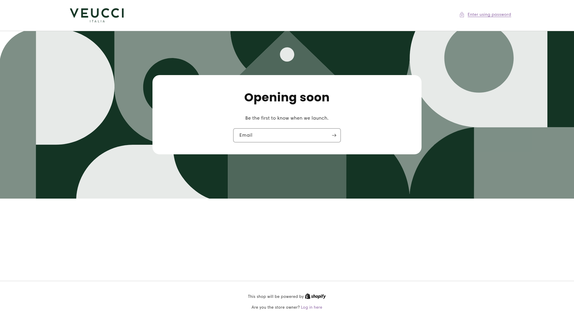 website screenshot of https://veucci.com/