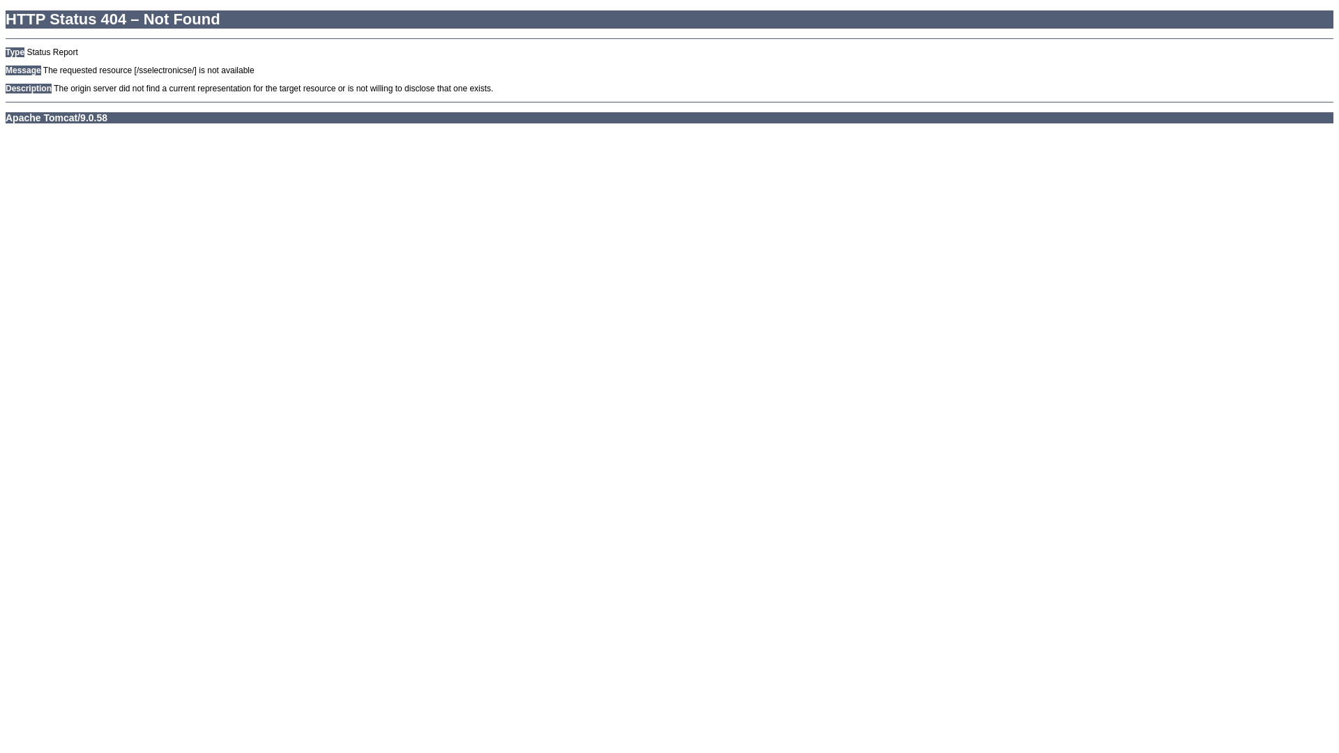 website screenshot of https://sselectronicse.com/