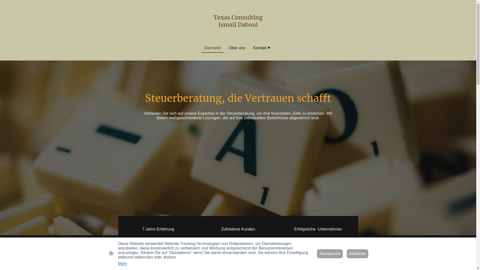 website screenshot of https://texas-consulting.de/