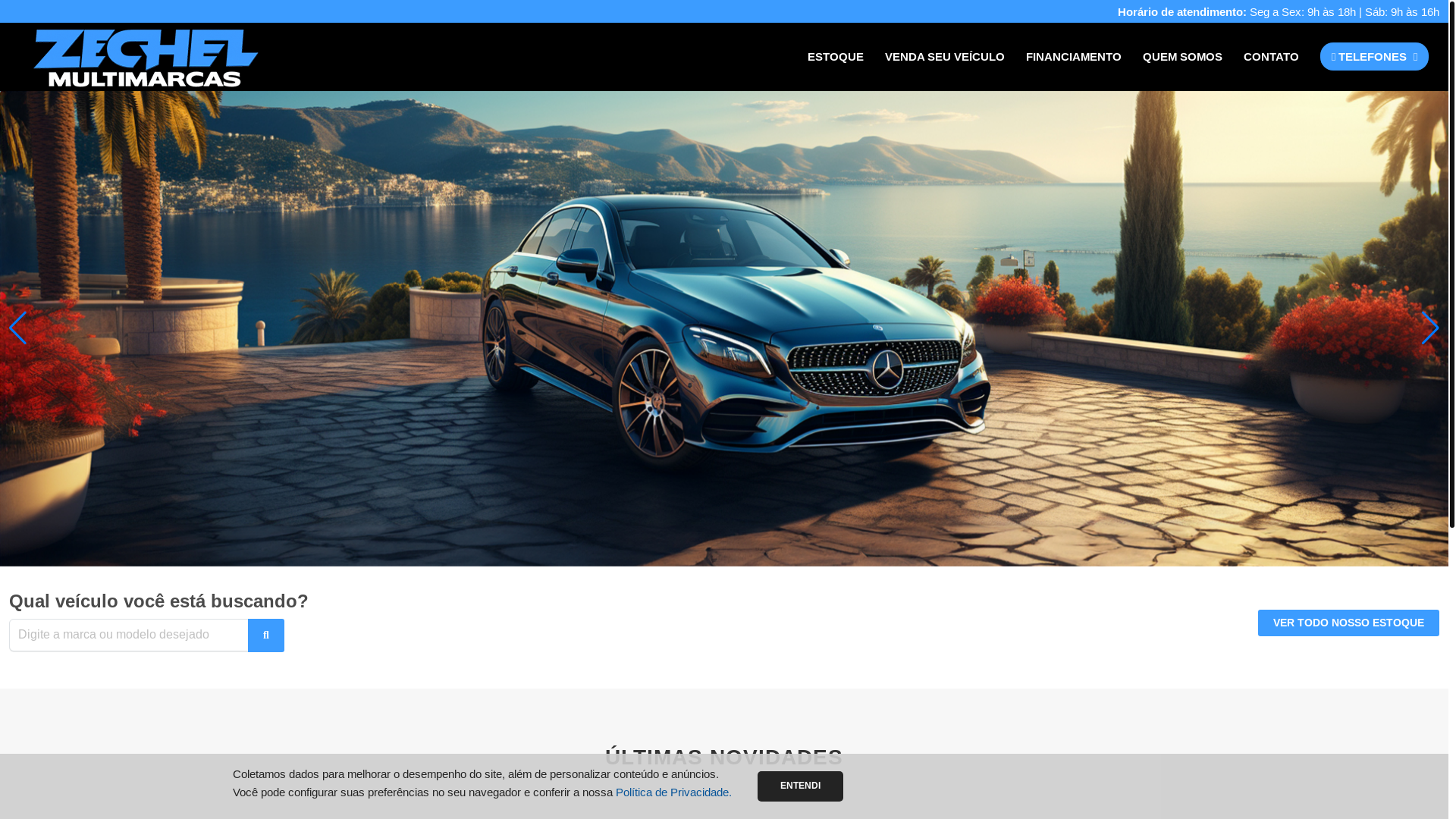 website screenshot of https://zechelmultimarcas.com.br/