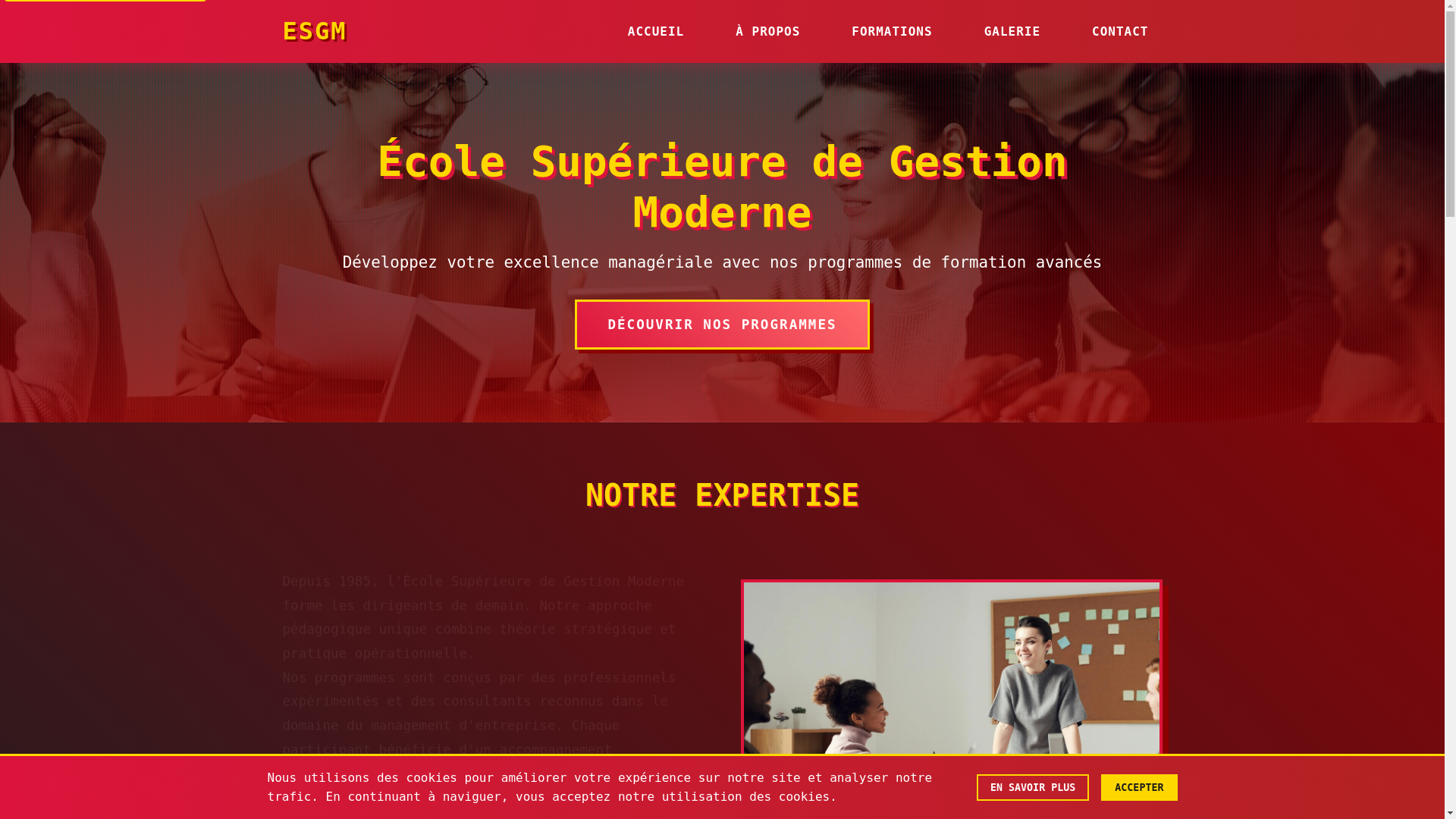 website screenshot of https://francecoiuw.uk/