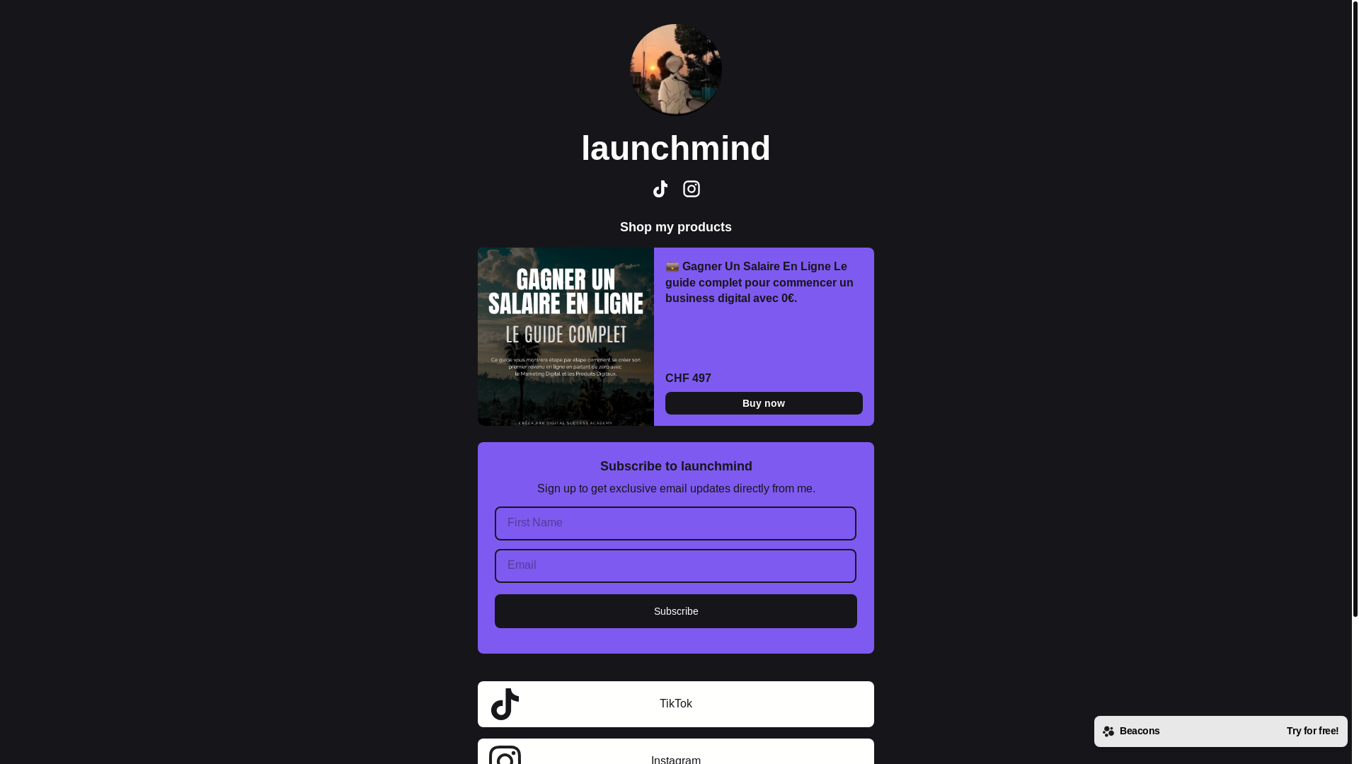 website screenshot of https://launchmind.store/