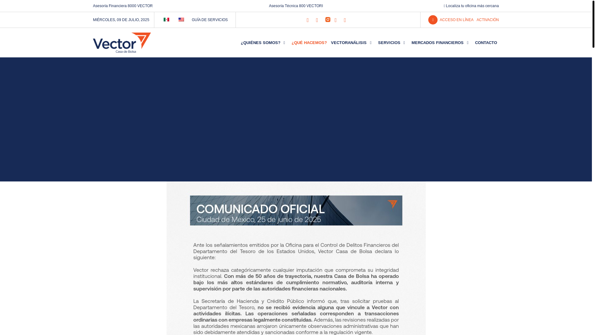 website screenshot of https://www.vector.com.mx/
