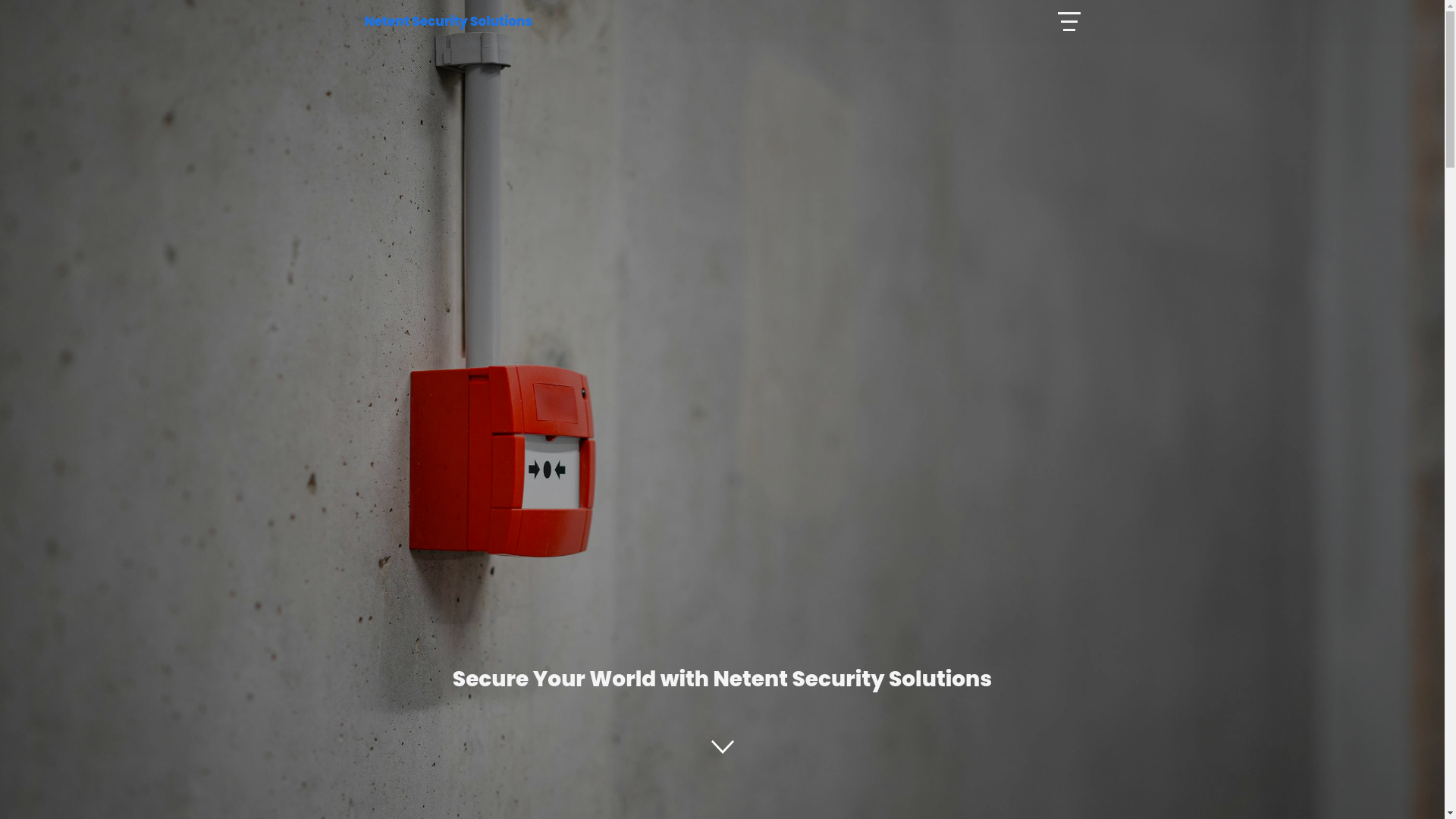 website screenshot of https://netss.co.za/