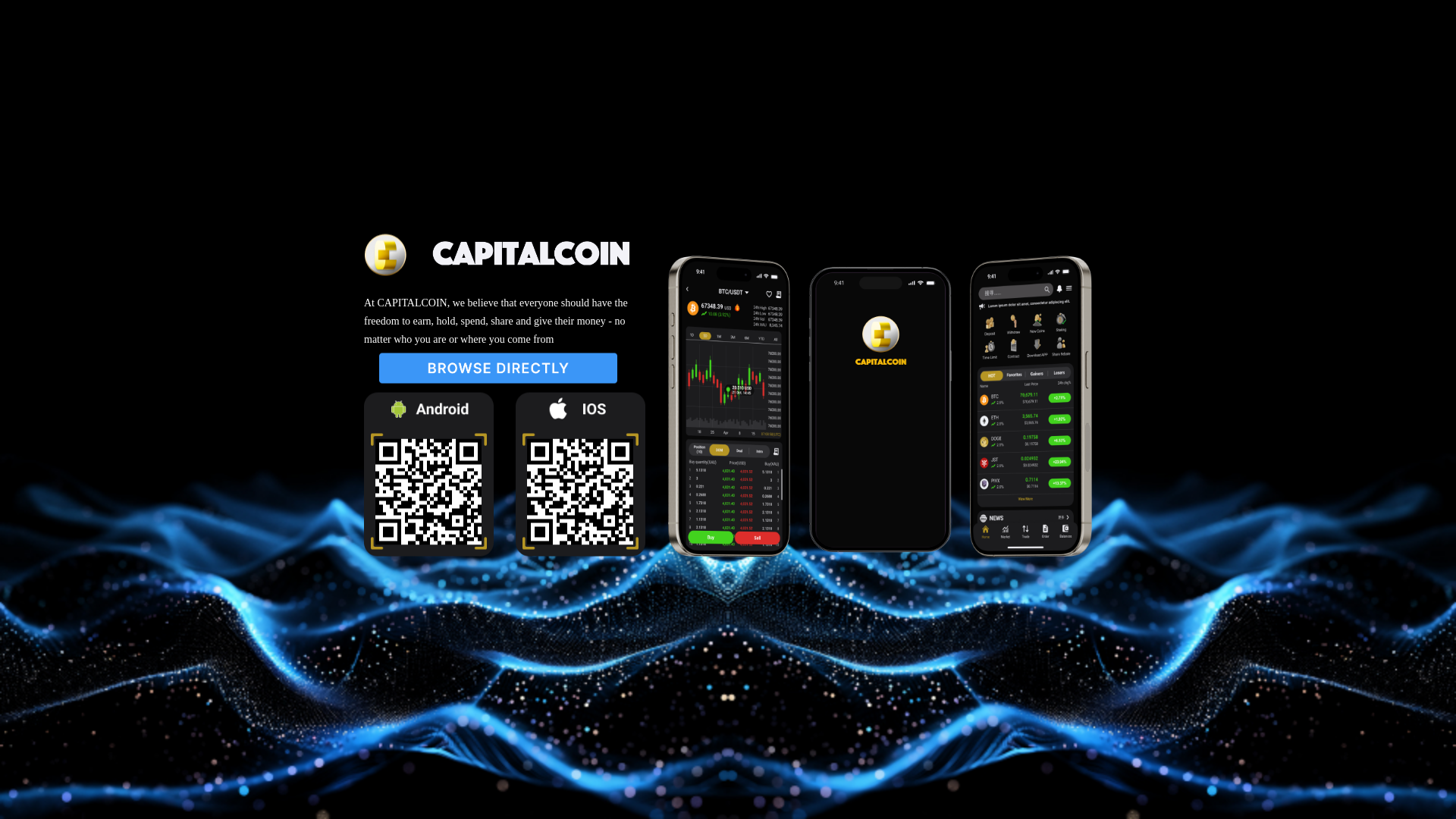 website screenshot of https://capitxzydq.com/