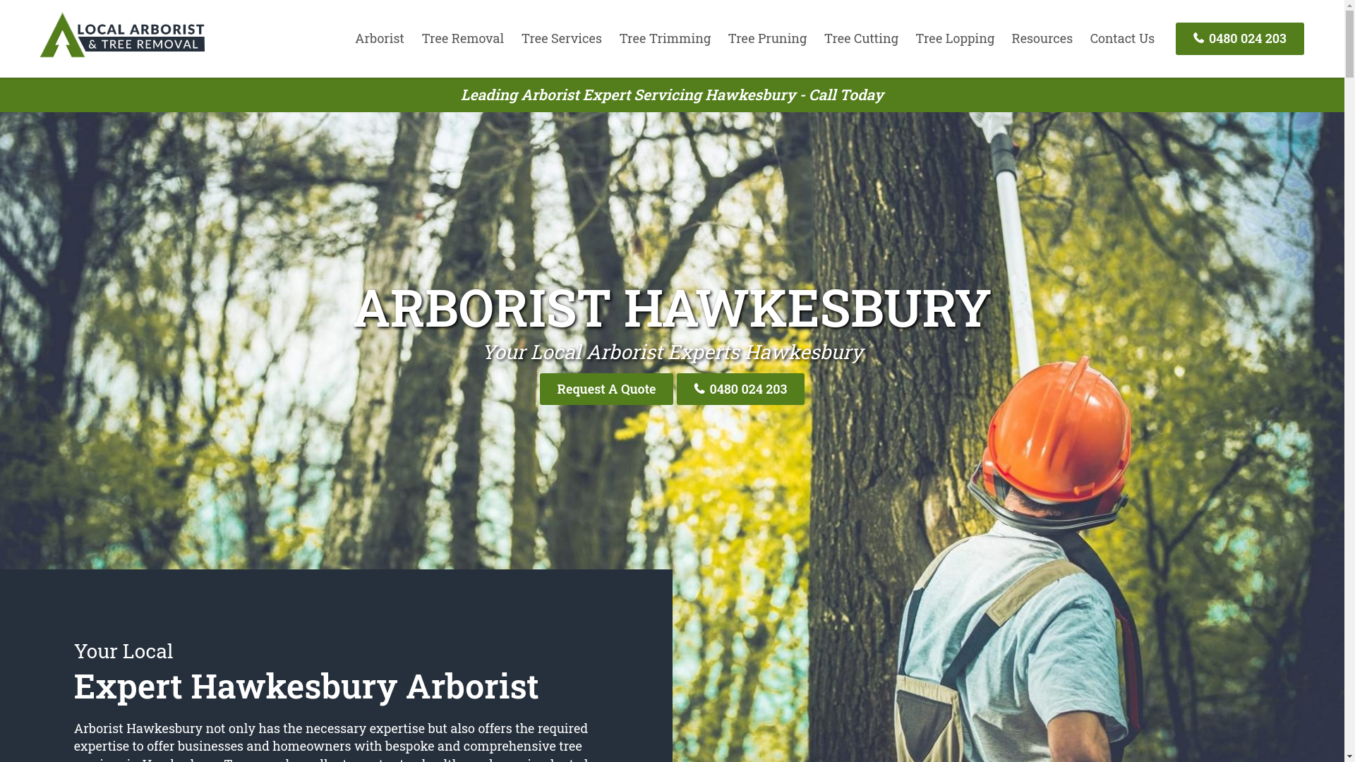 website screenshot of https://hawkesburytreelopping-com-au.pages.dev/