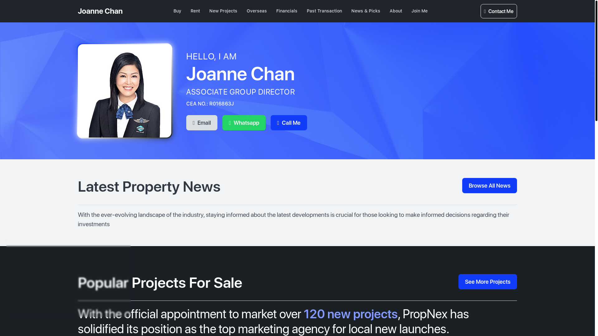 website screenshot of https://springleafcollectionsg.com/