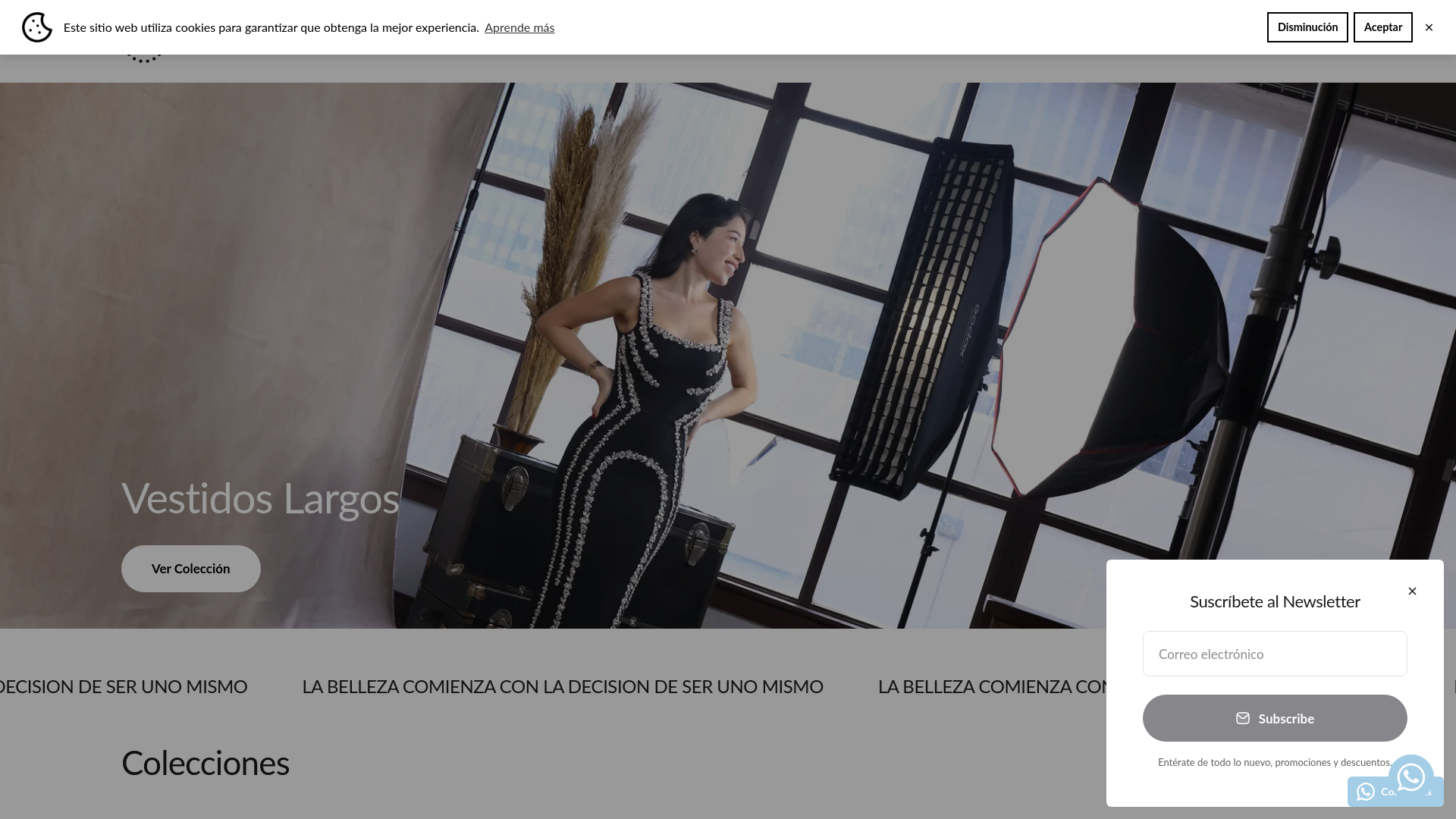website screenshot of https://vestidofiesta.mx/