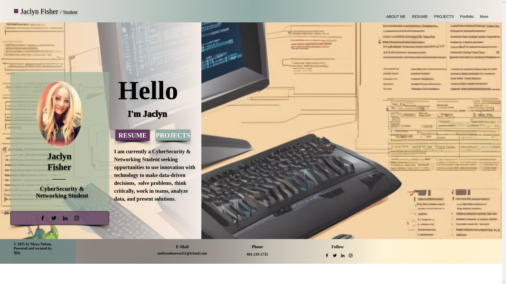website screenshot of https://exploitpixie.com/