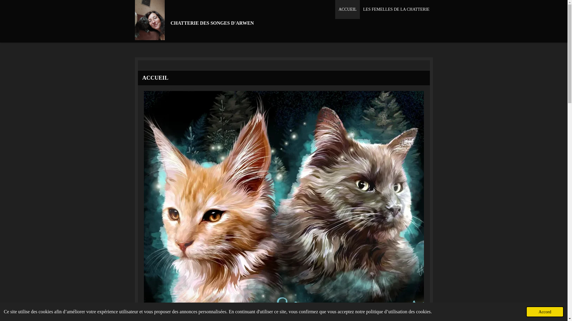 website screenshot of https://chatterie-des-songes-darwen.com/