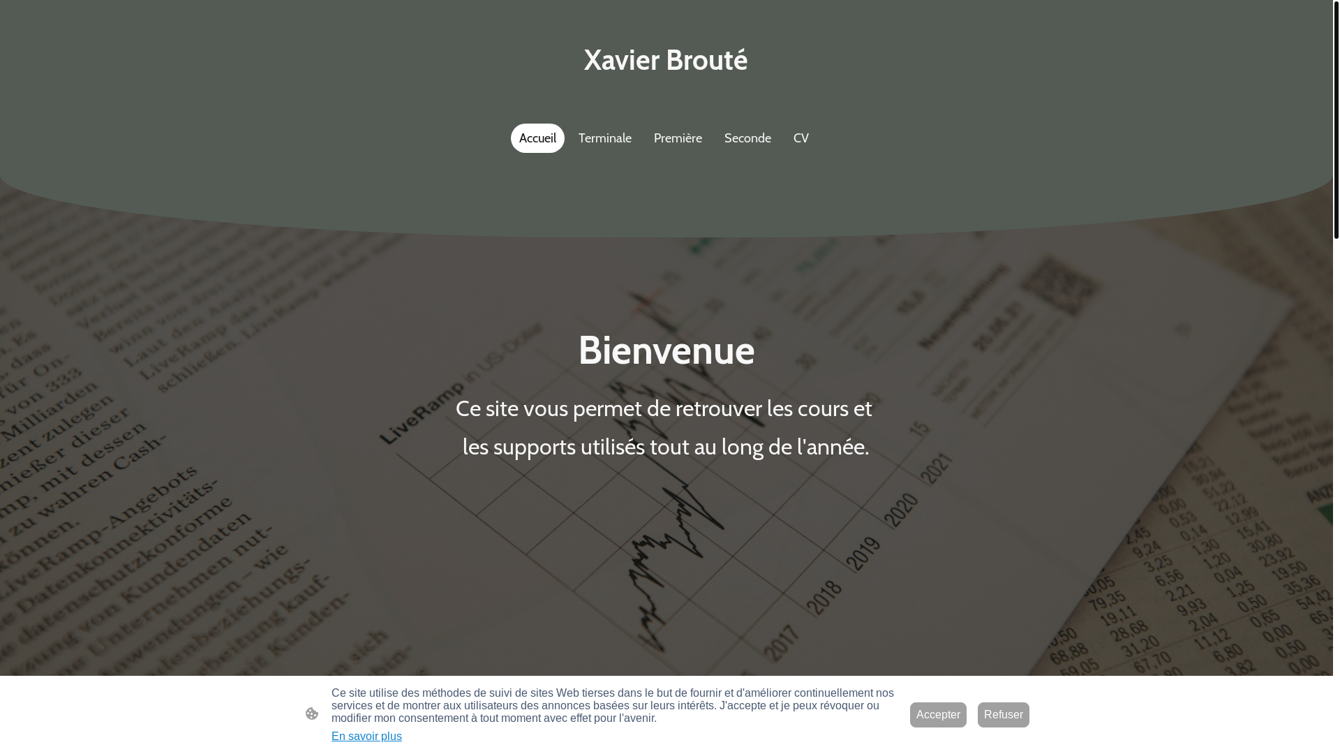 website screenshot of https://xavierbroute.fr/