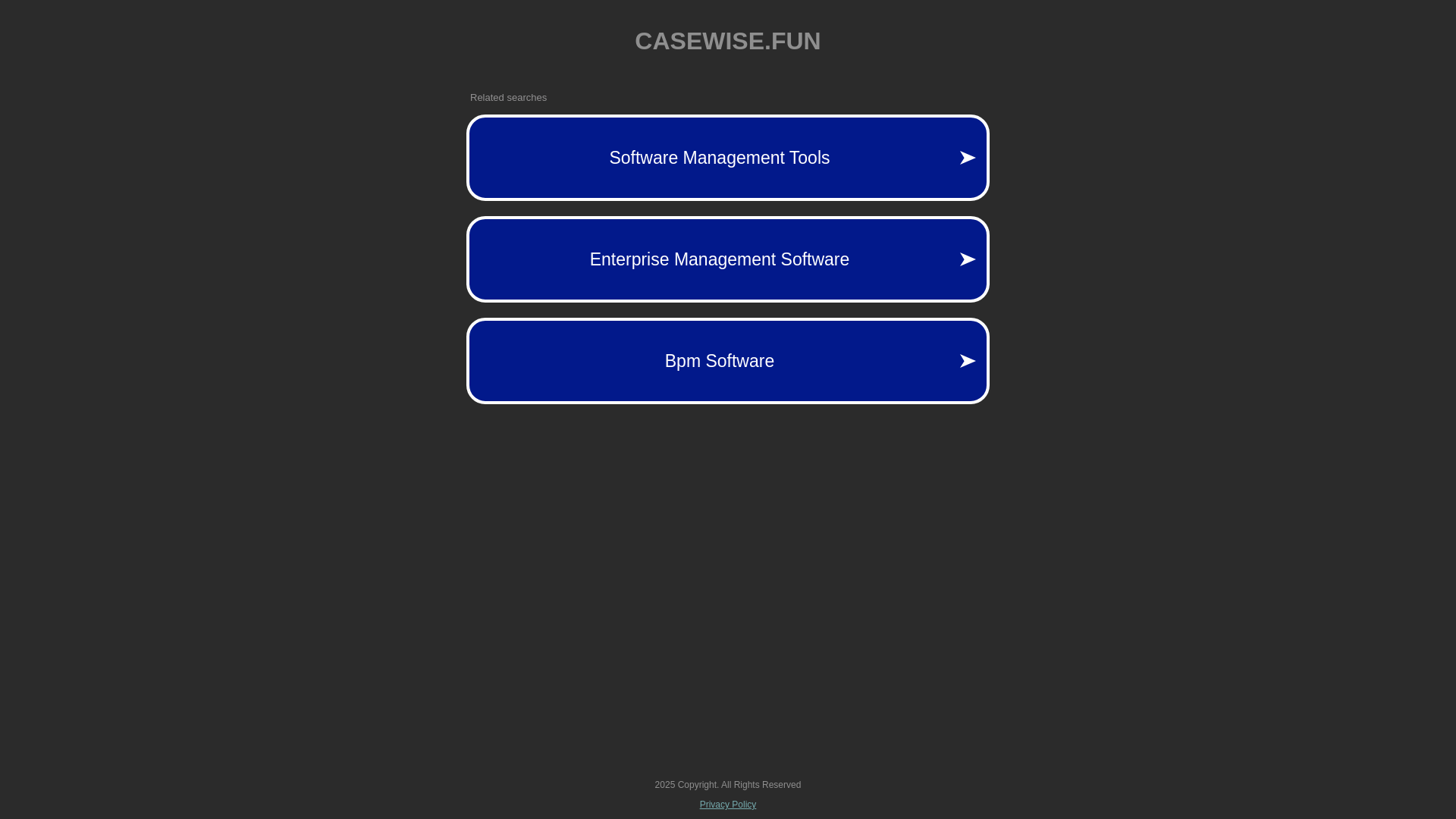 website screenshot of https://casewise.fun/