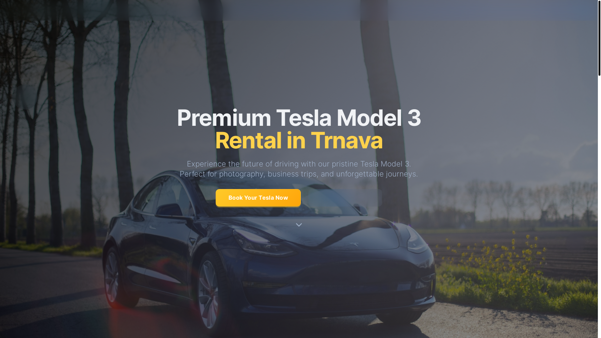 website screenshot of https://ttesla.sk/