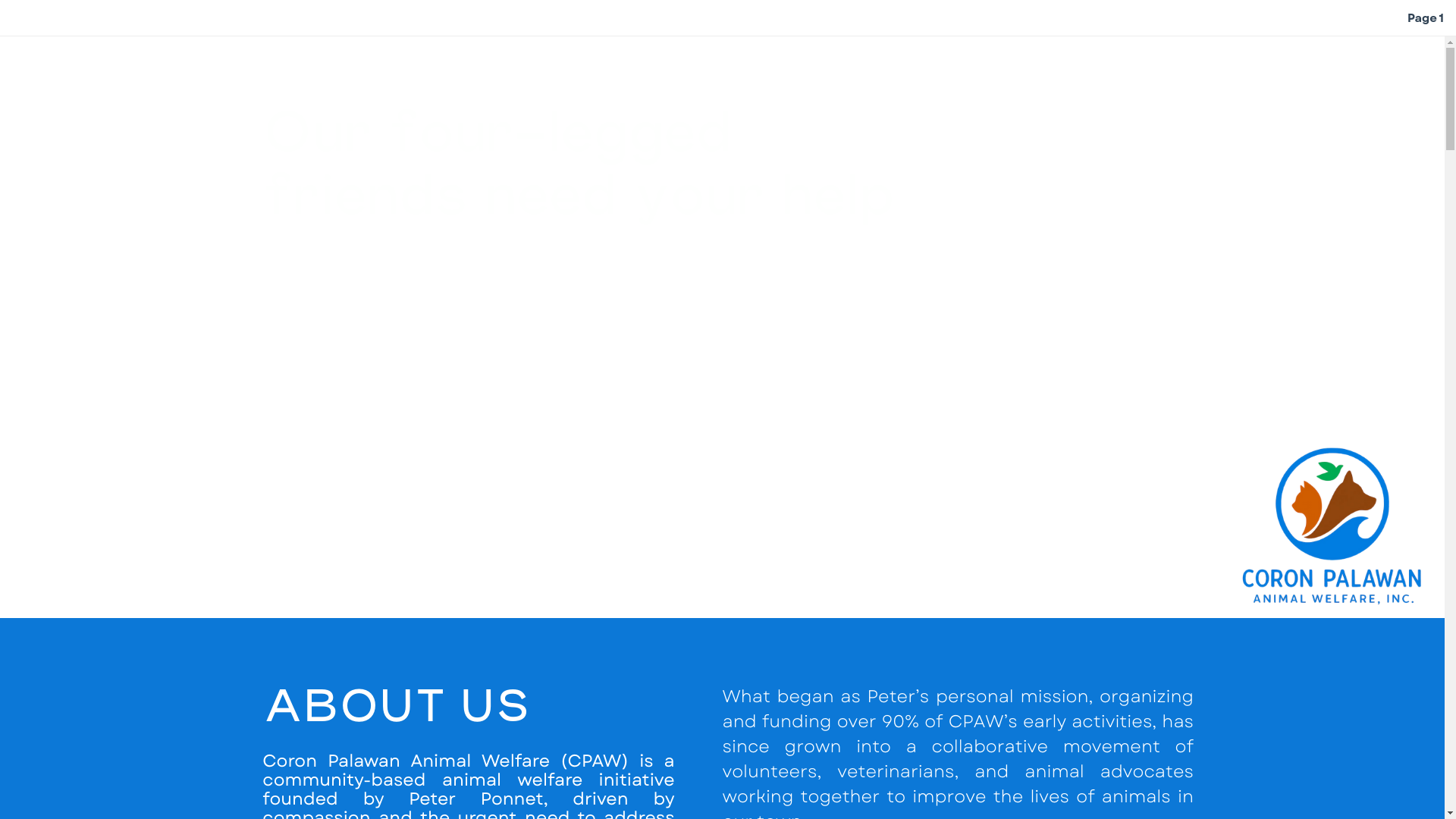 website screenshot of https://cpawinc.org/