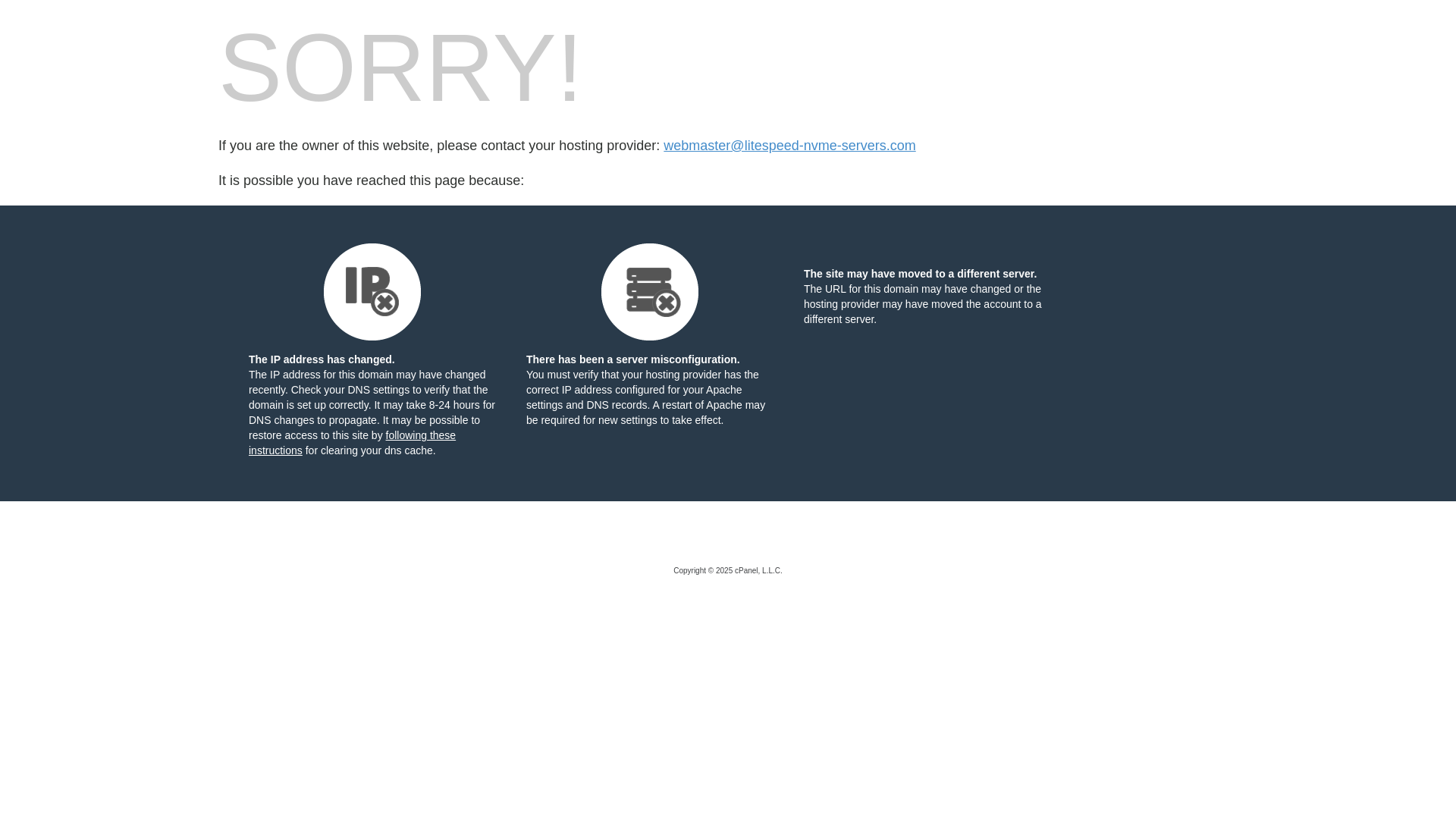 website screenshot of https://litespeed-nvme-servers.com/