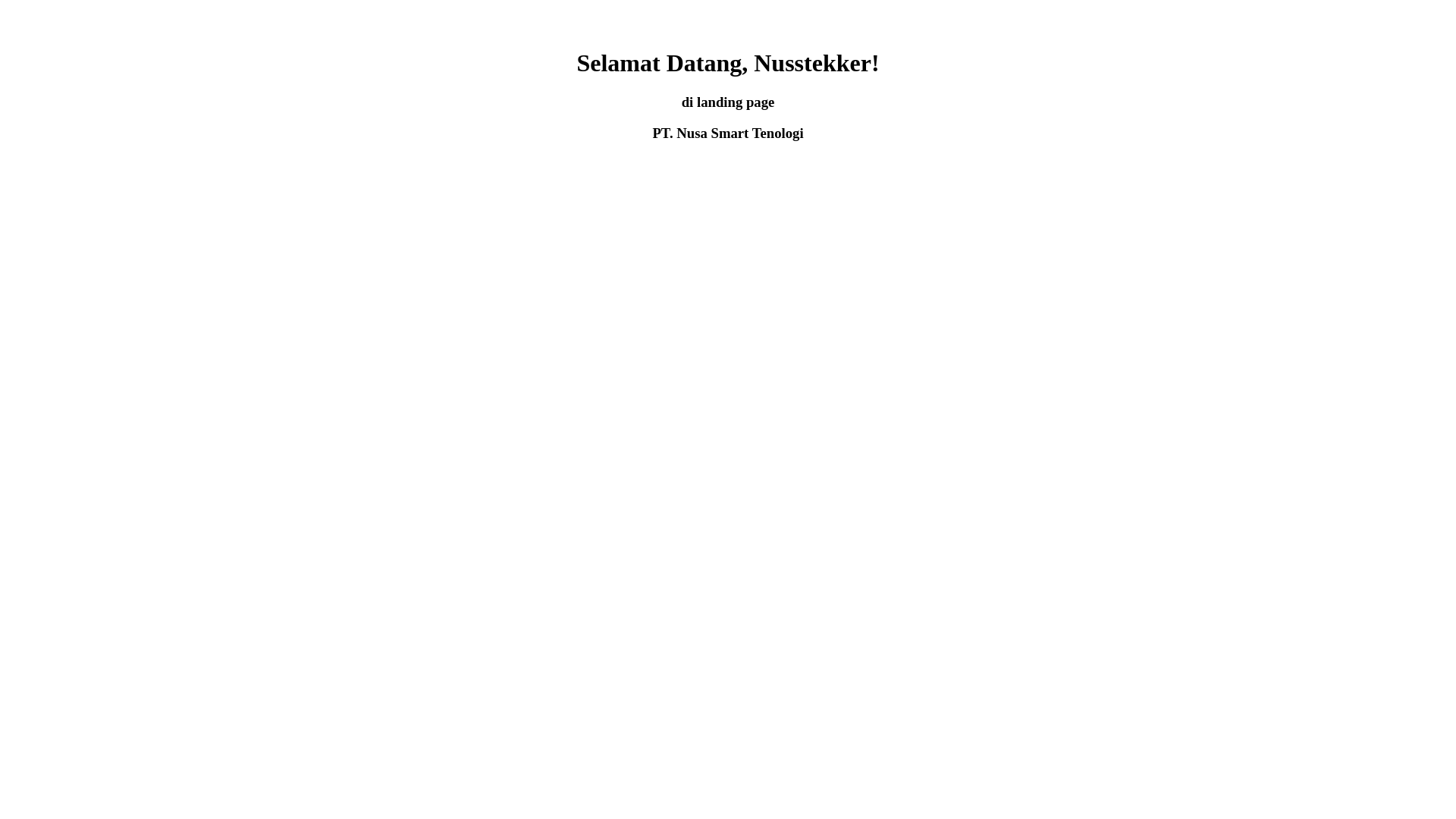 website screenshot of https://nusstek.com/