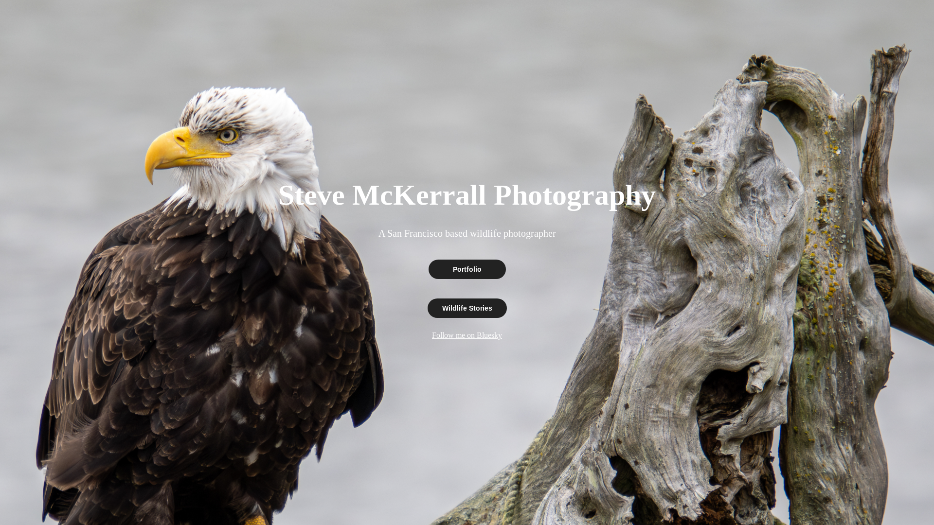 website screenshot of https://stevemckerrall.com/
