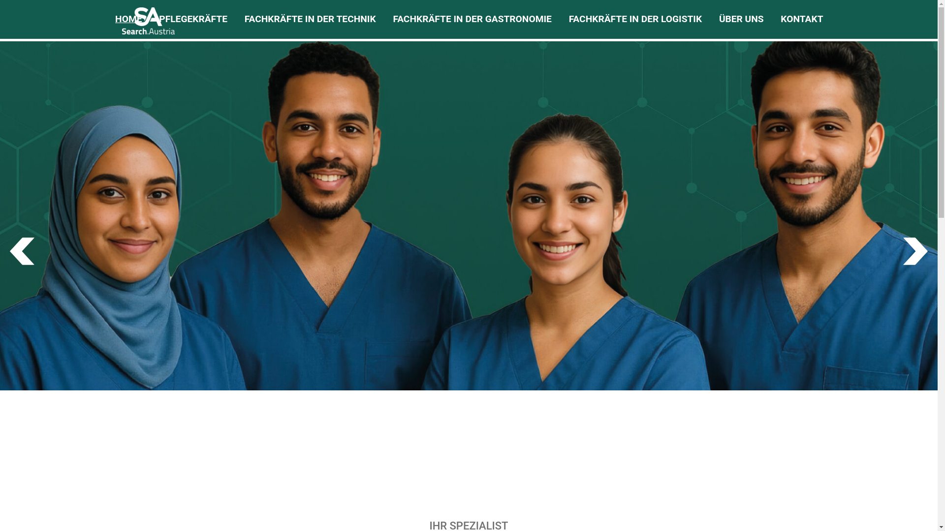 website screenshot of https://search-austria.com/