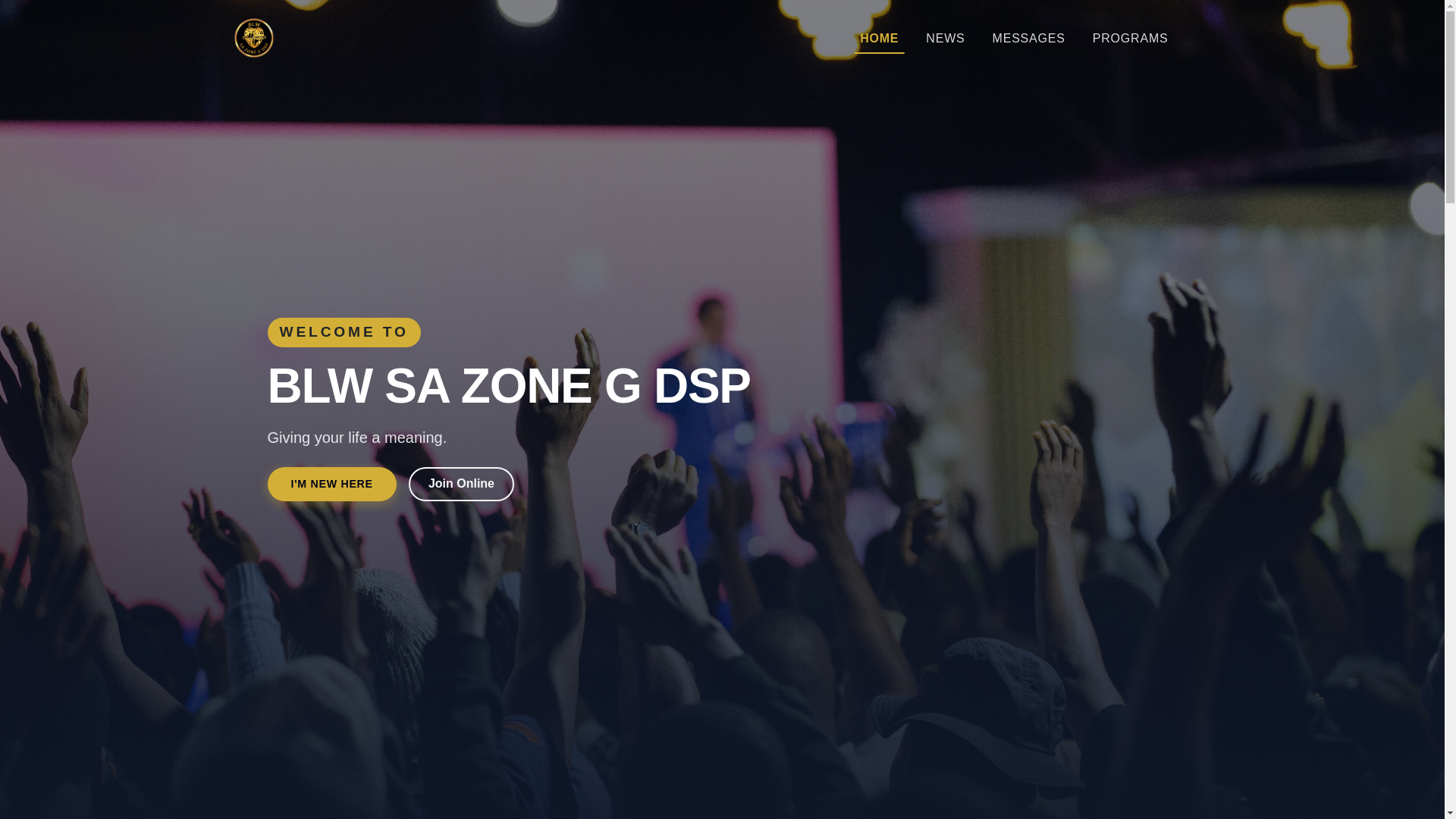 website screenshot of https://blwsazoneg.com/