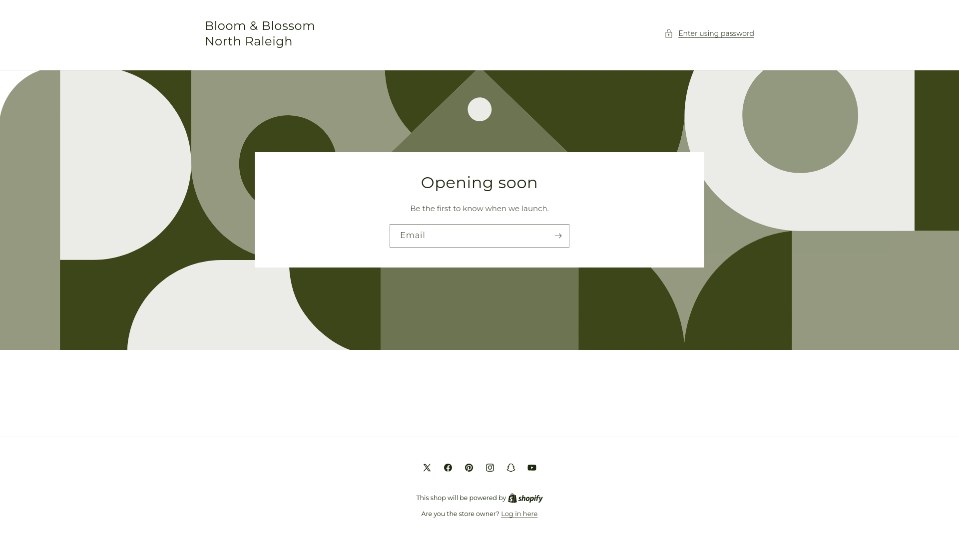 website screenshot of https://bloomblossomnorthraleigh.com/