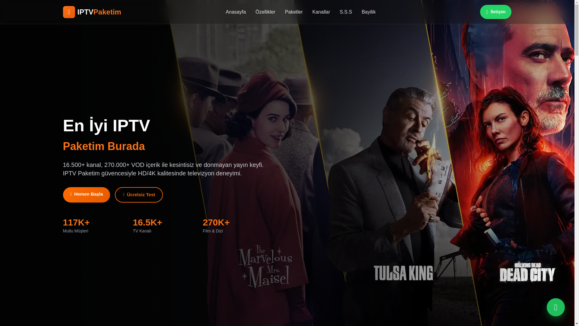 website screenshot of https://iptvpaketim.com.tr/
