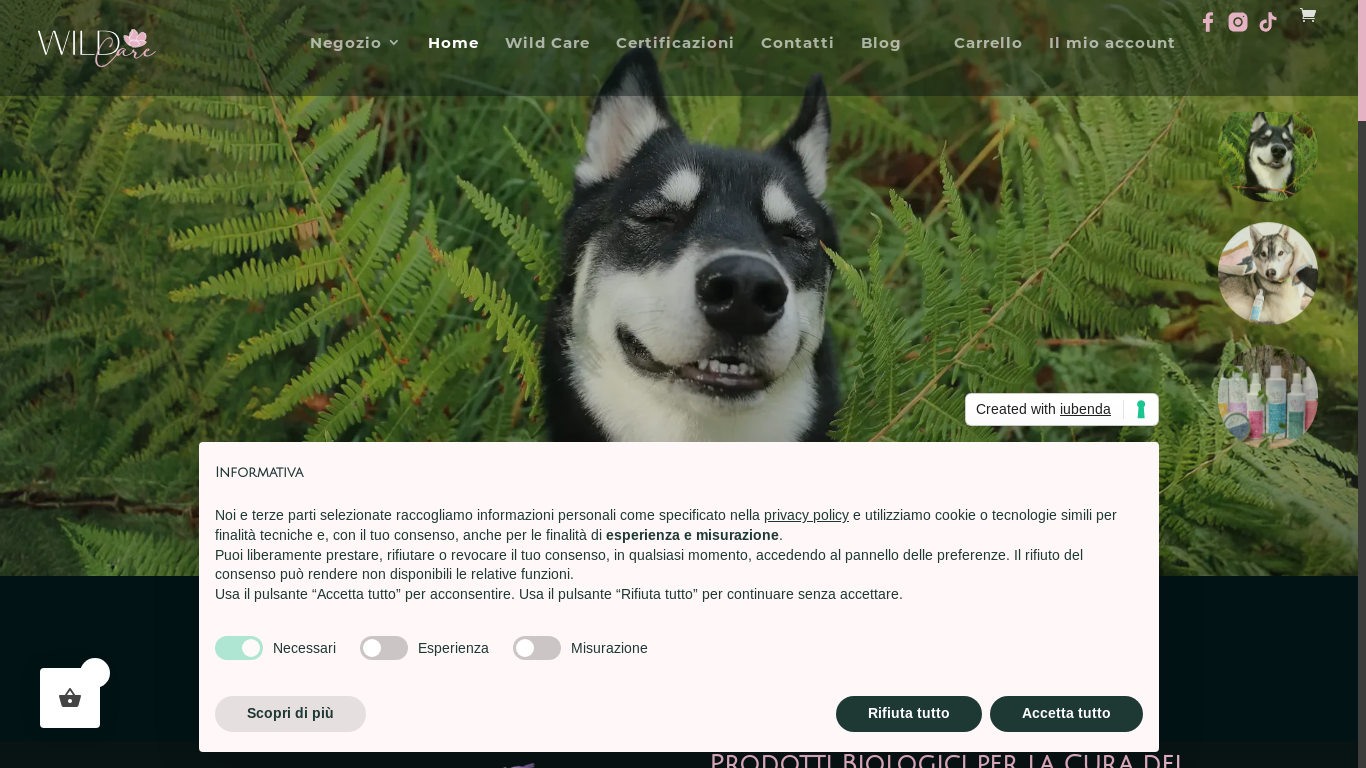 website screenshot of https://lumakateam.it/