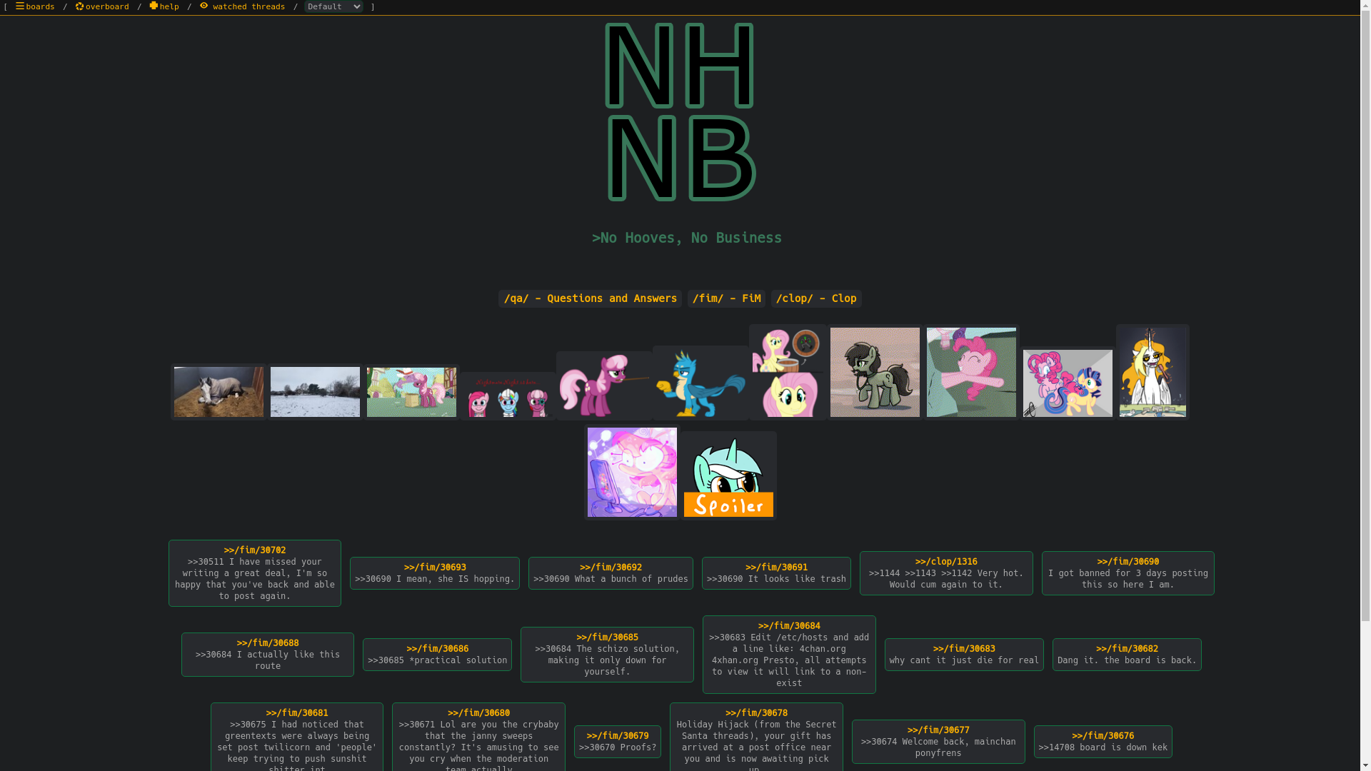 website screenshot of https://nhnb.org/