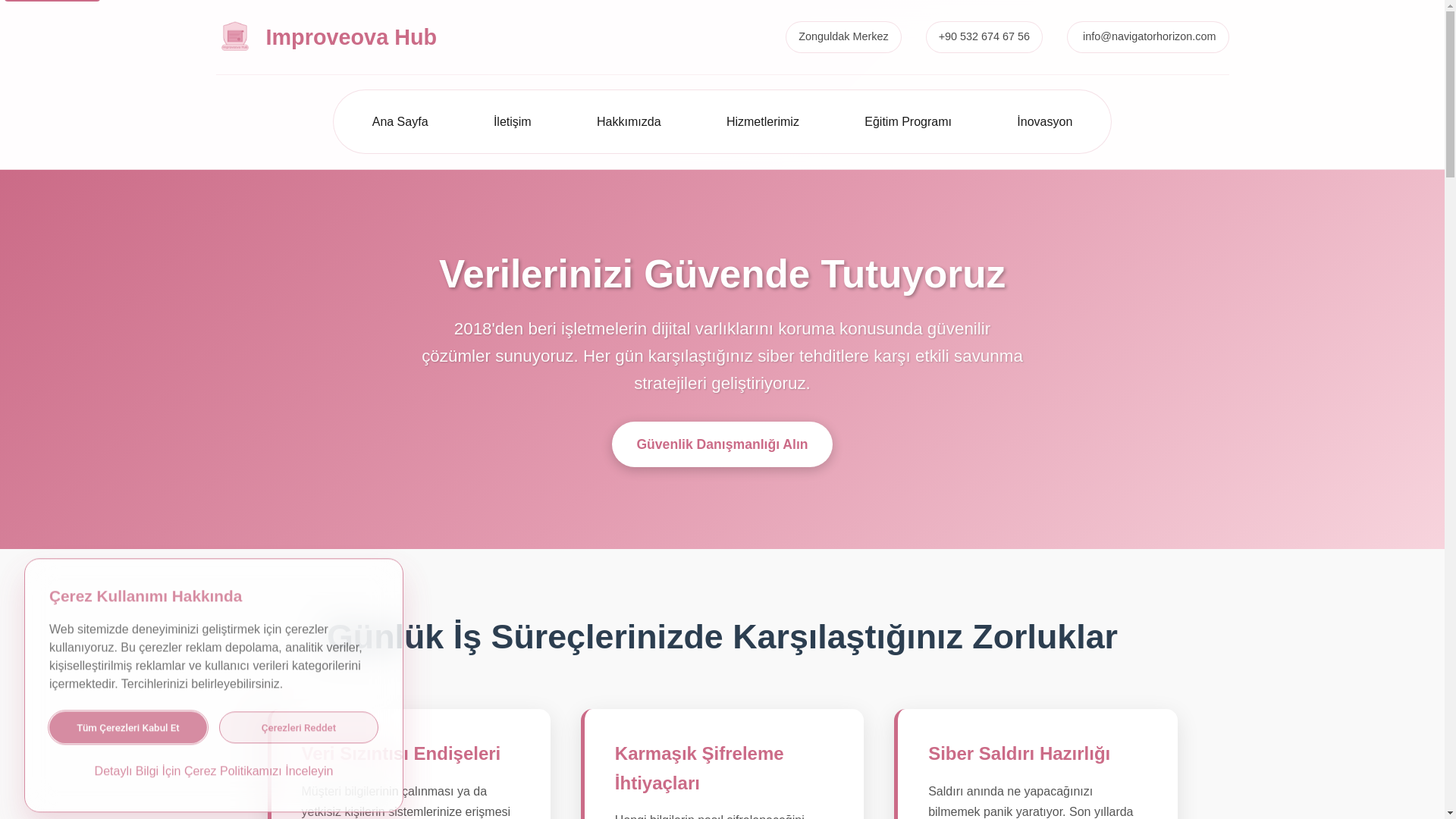 website screenshot of https://navigatorhorizon.com/