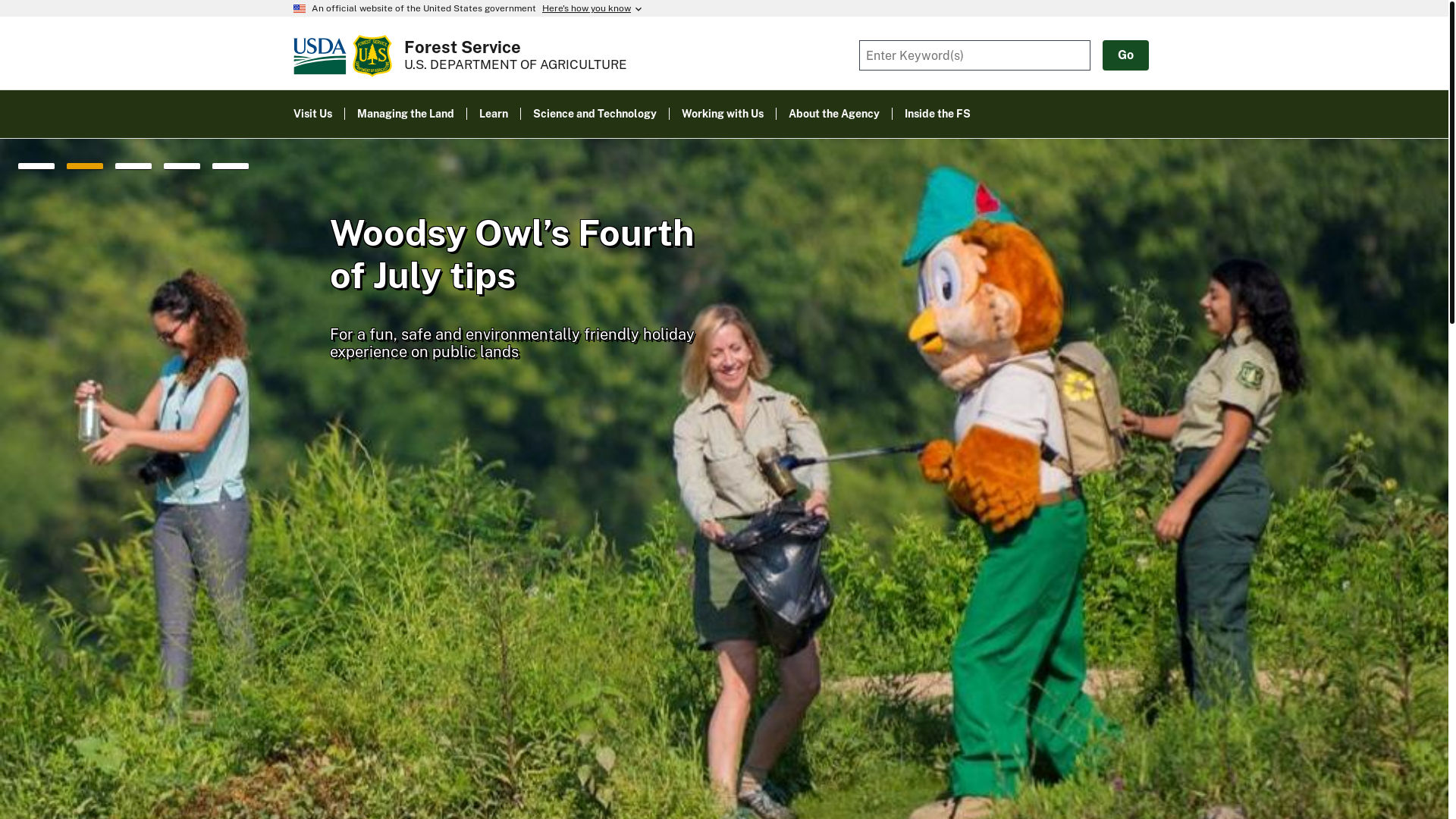 website screenshot of https://fs.usda.gov/