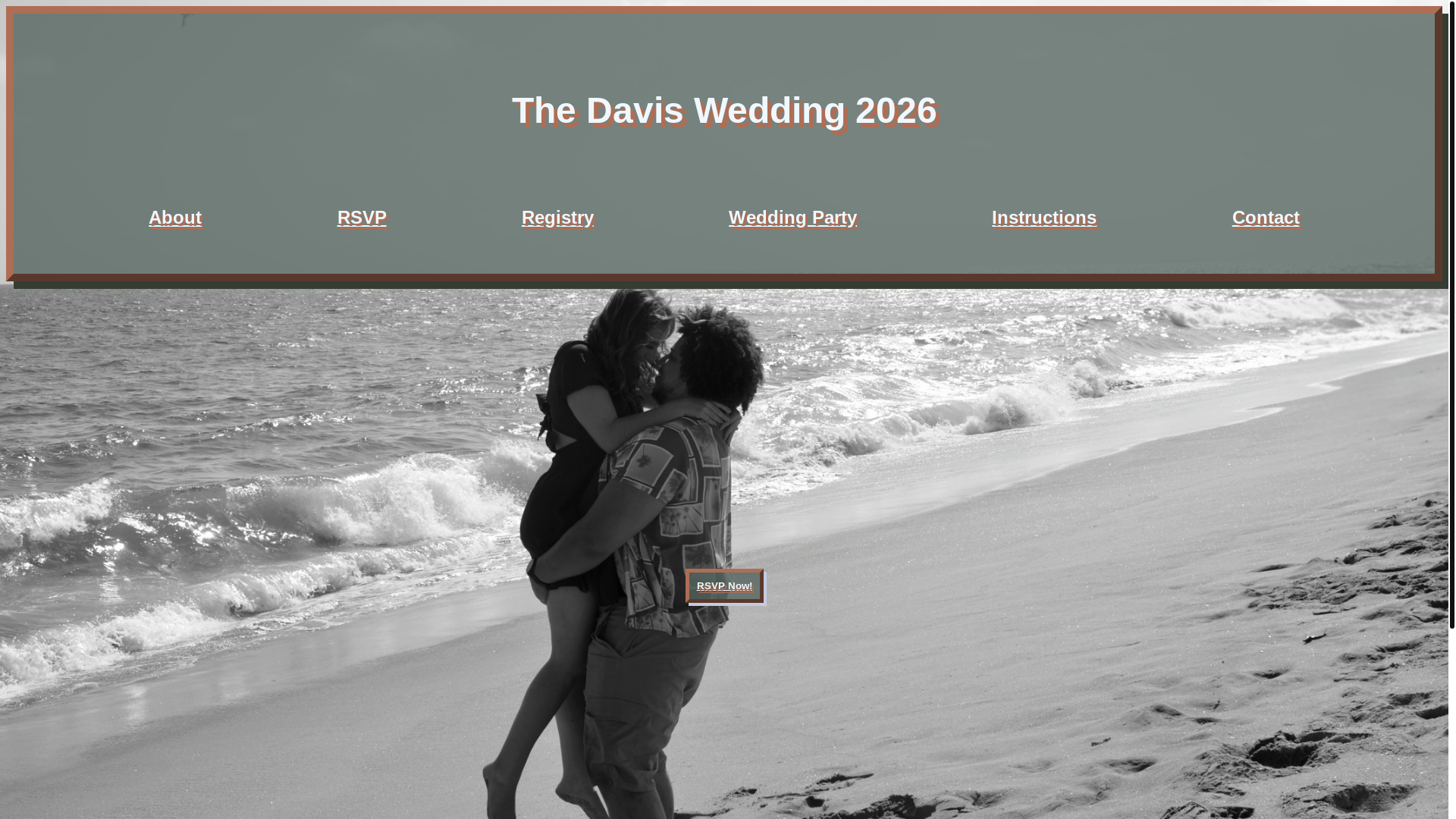 website screenshot of https://daviswedding2026.com/