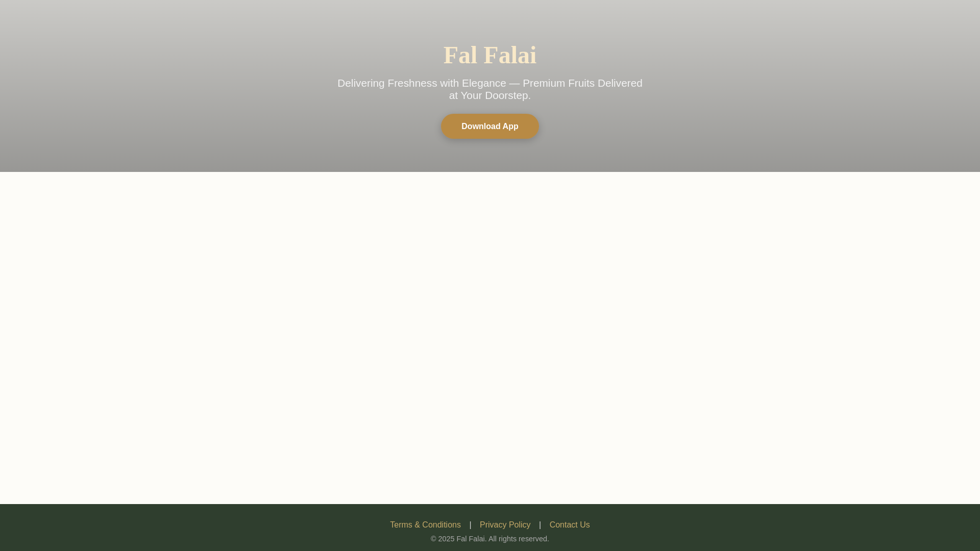 website screenshot of https://falfalai.com/