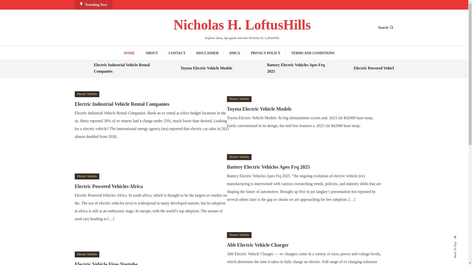 website screenshot of https://nicholashloftushills.pages.dev/