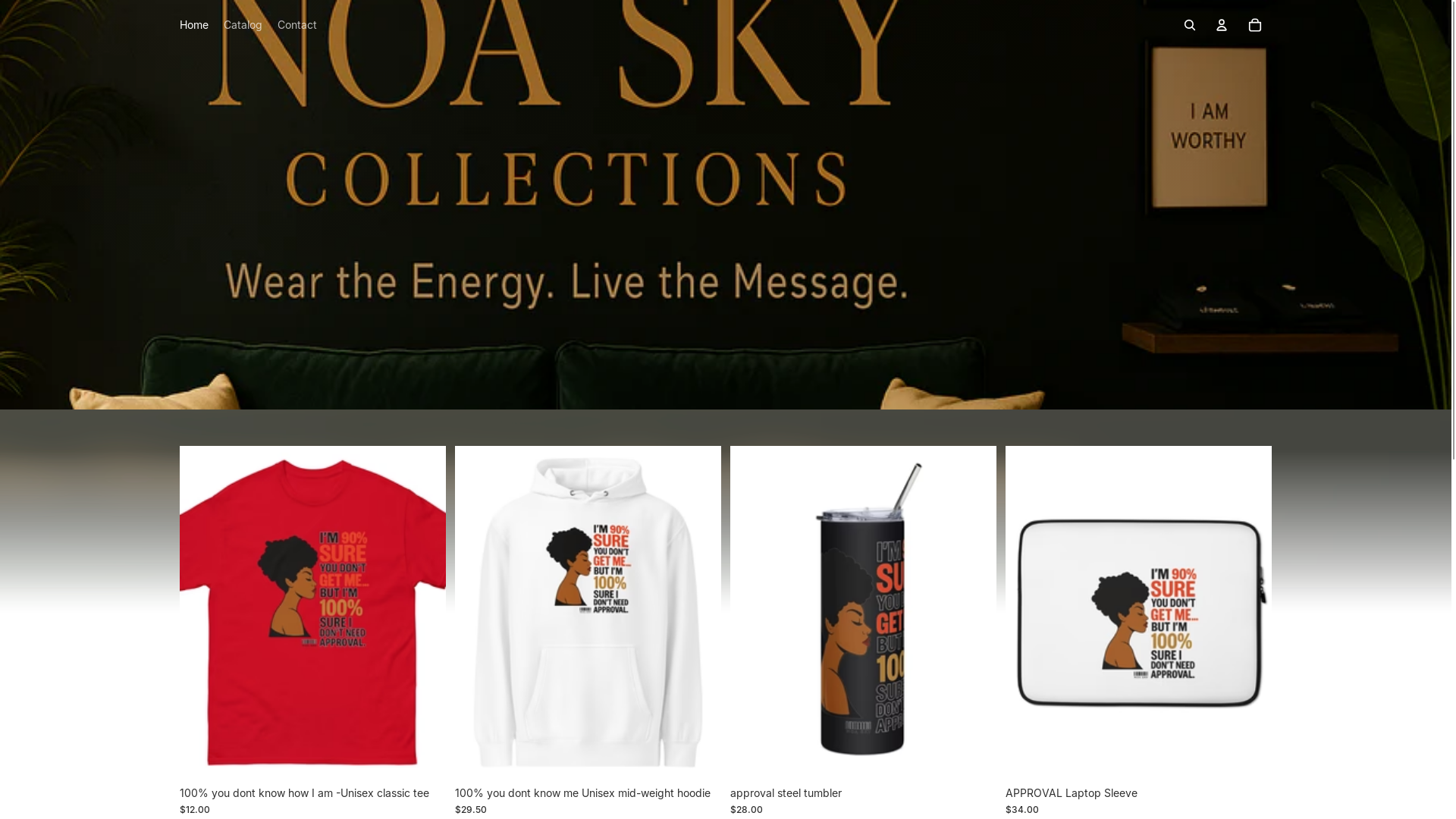 website screenshot of https://noaskycollections.com/