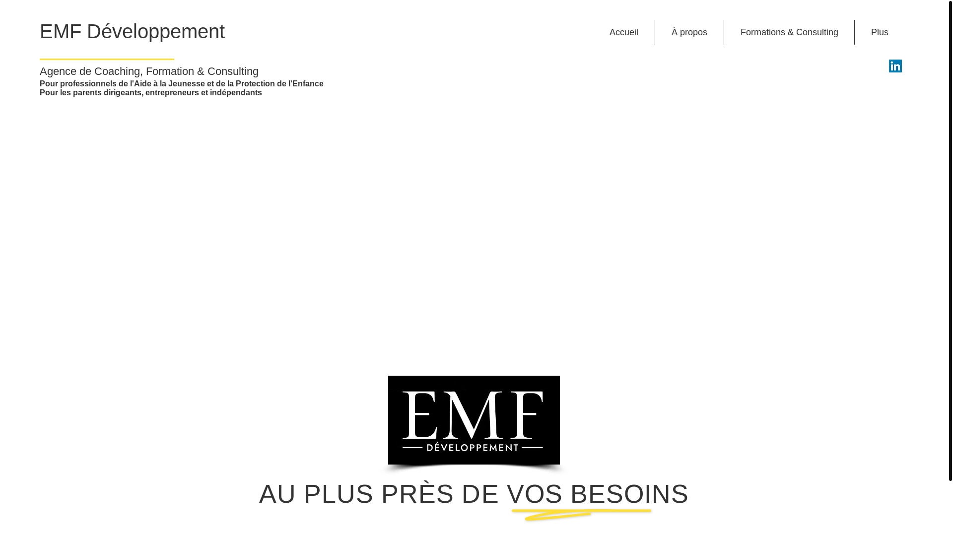 website screenshot of https://emf-developpement.com/
