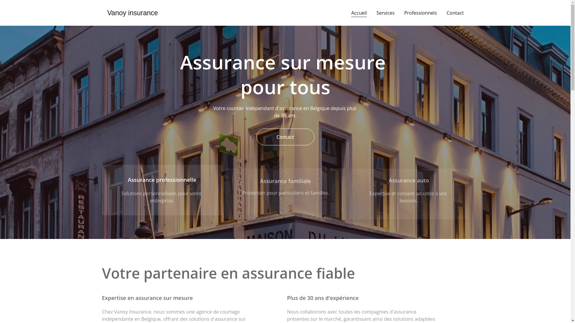 website screenshot of https://vanoy.be/