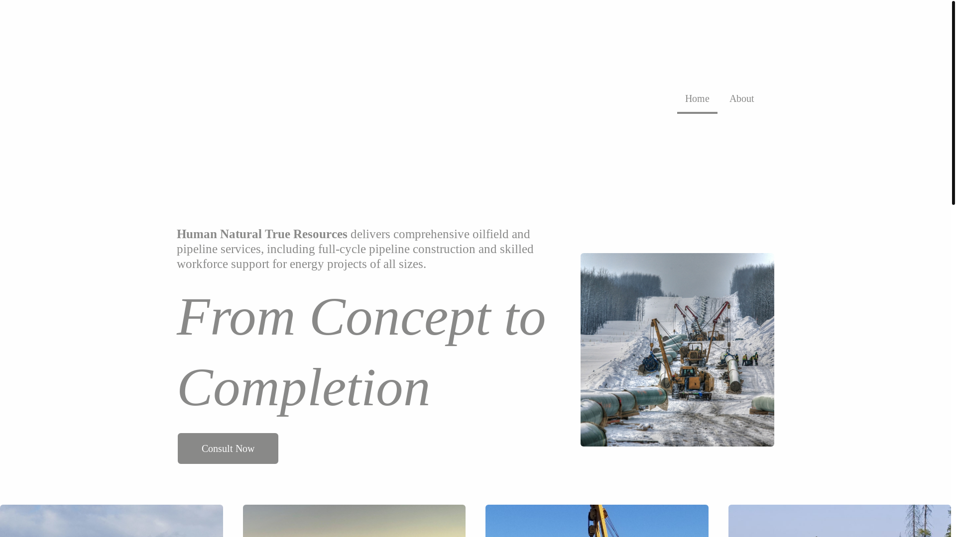 website screenshot of https://humannaturaltrueresources.com/