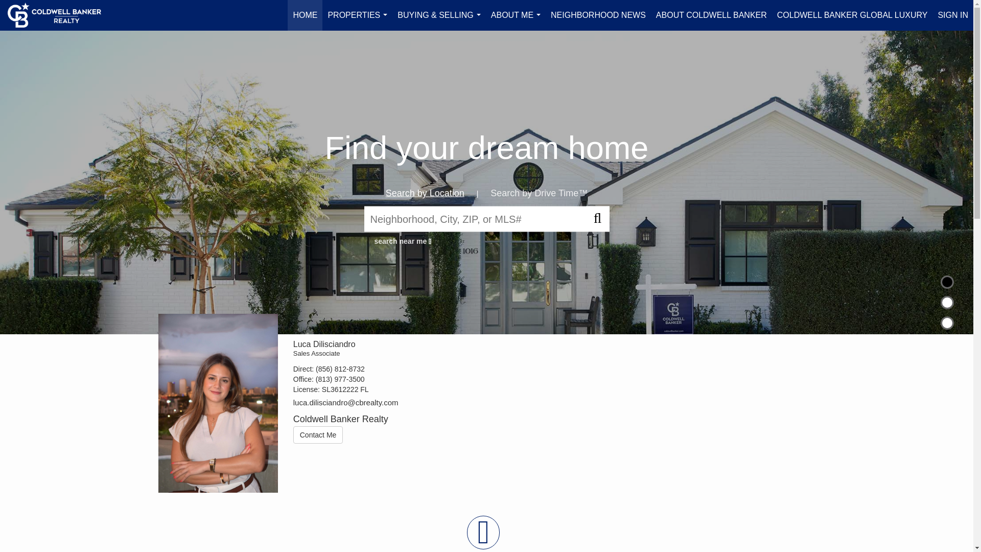 website screenshot of https://lucadilisciandro.com/