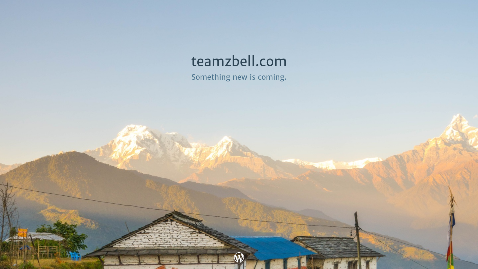 website screenshot of https://teamzbell.com/