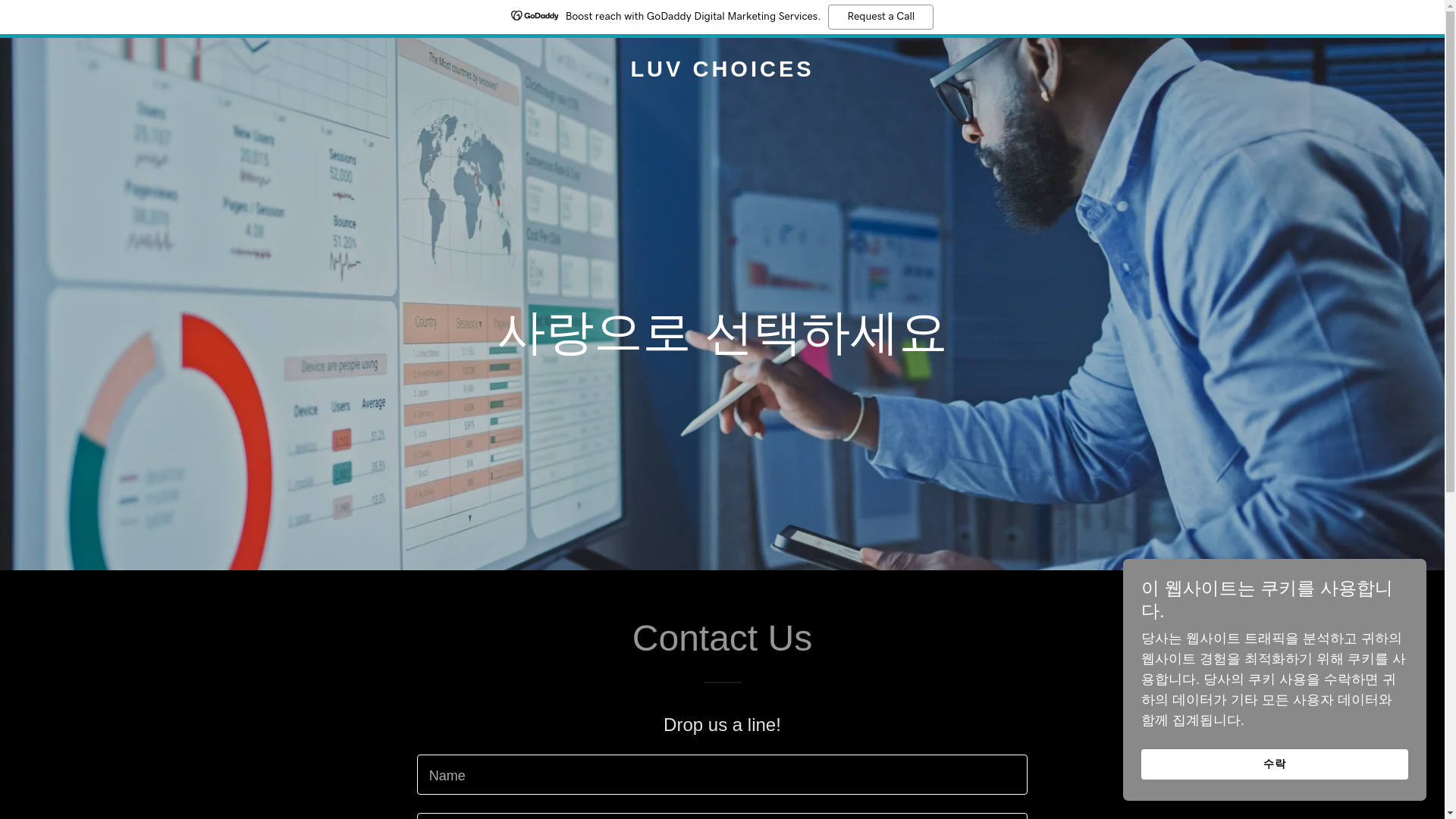 website screenshot of https://luvchoices.com/
